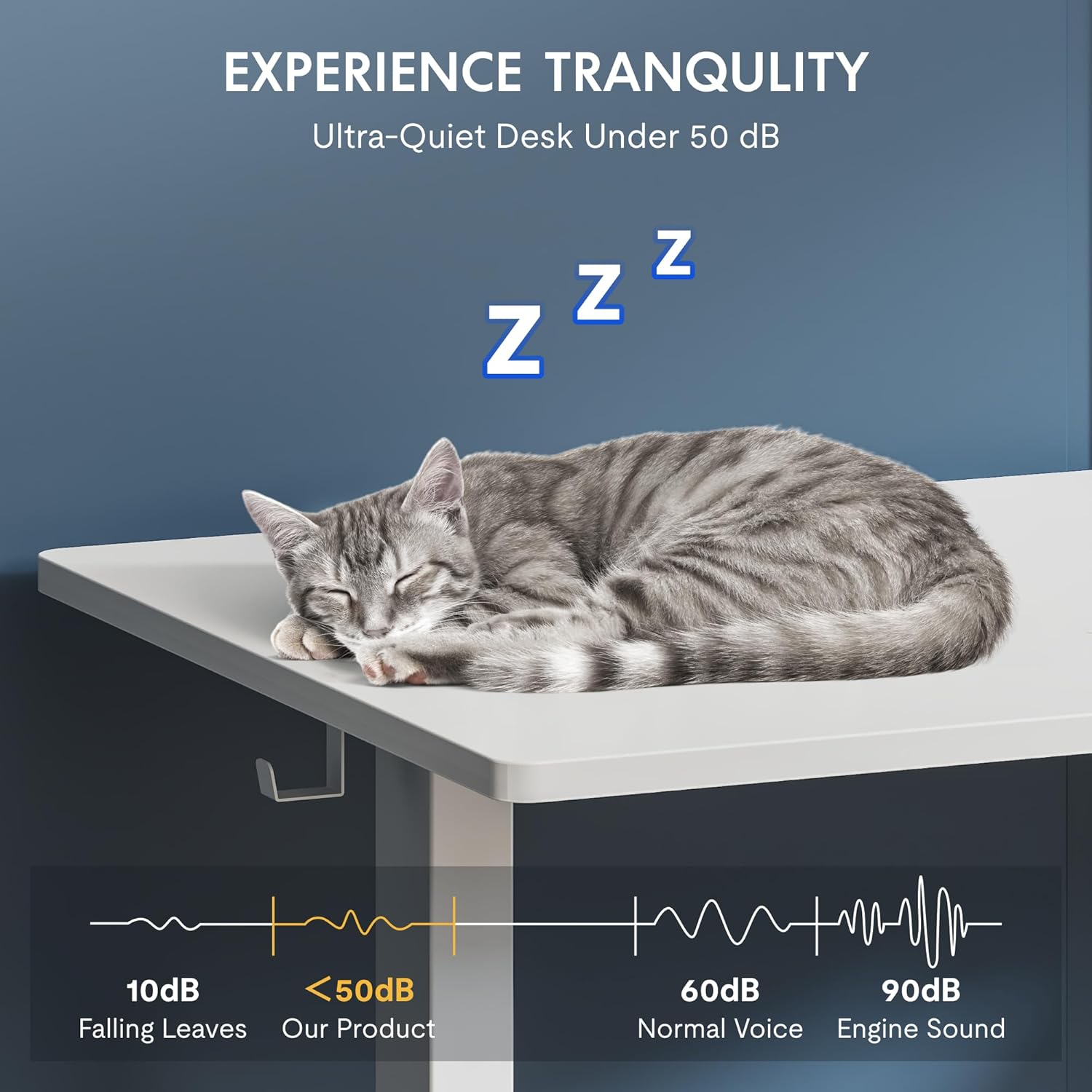 Thumbnail 6 de FLEXISPOT Escritorio Eléctrico Elevable 120x60cm 🖥️