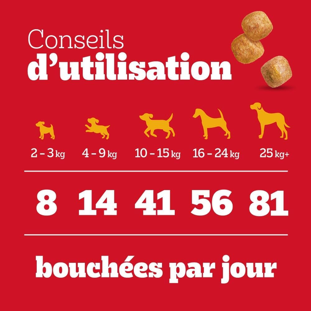 Detalle de PEDIGREE Recompense Tasty MINIS Junior au Poulet – Pack 6 x 125 g