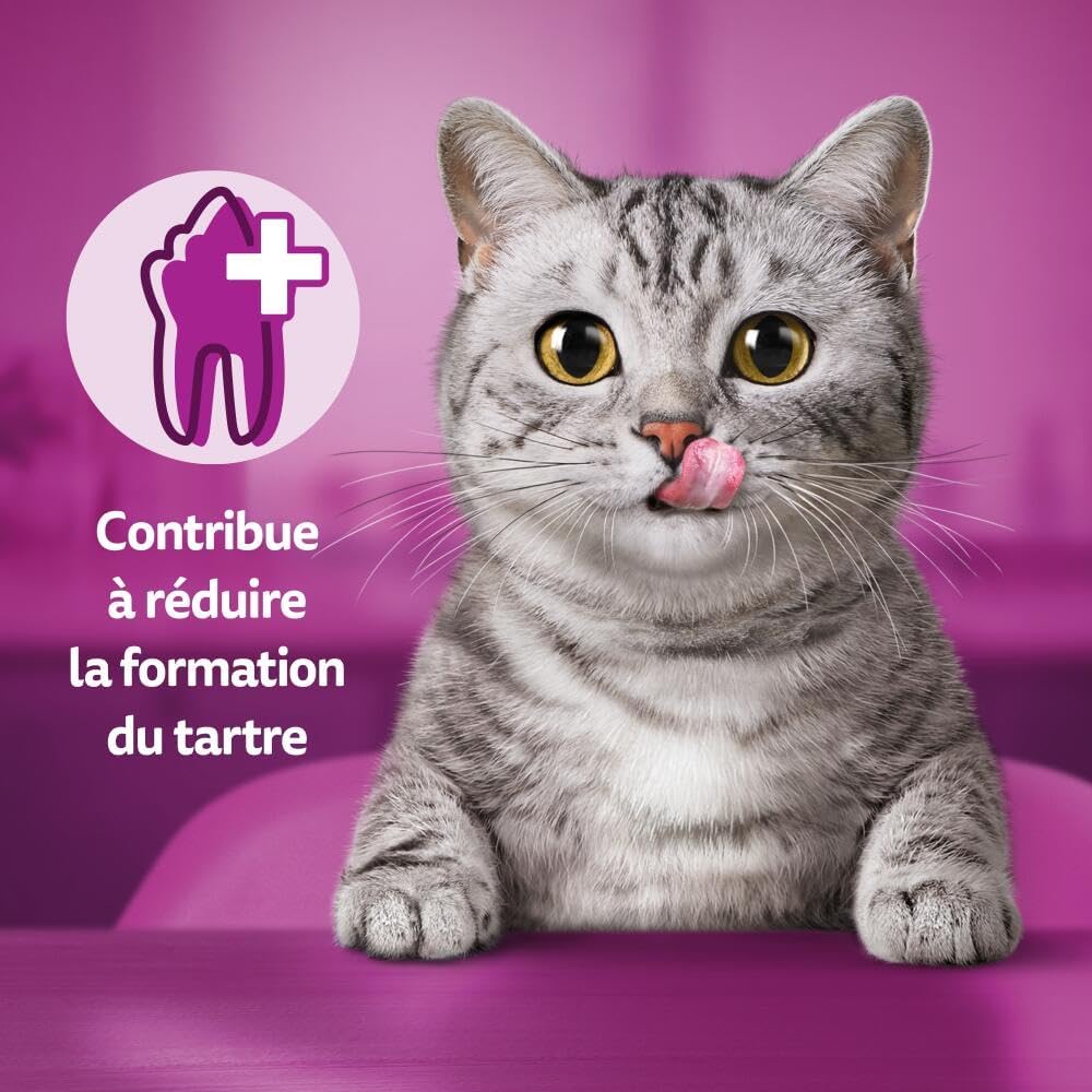 Detalle de Whiskas Contrôle du Tartre Poulet Friandises pour Chats – Lot de 6 x 40 g