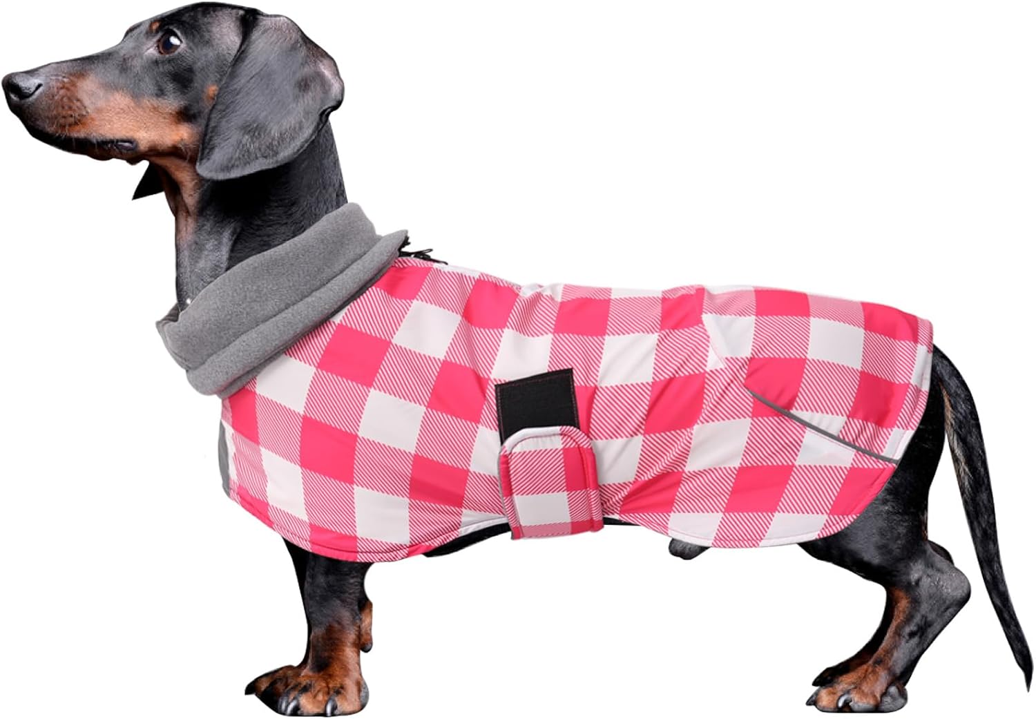 Thumbnail 6 de Dachshund Coats Waterproof: Sausage Dog Winter Coat with Reflective Stripe, XS
