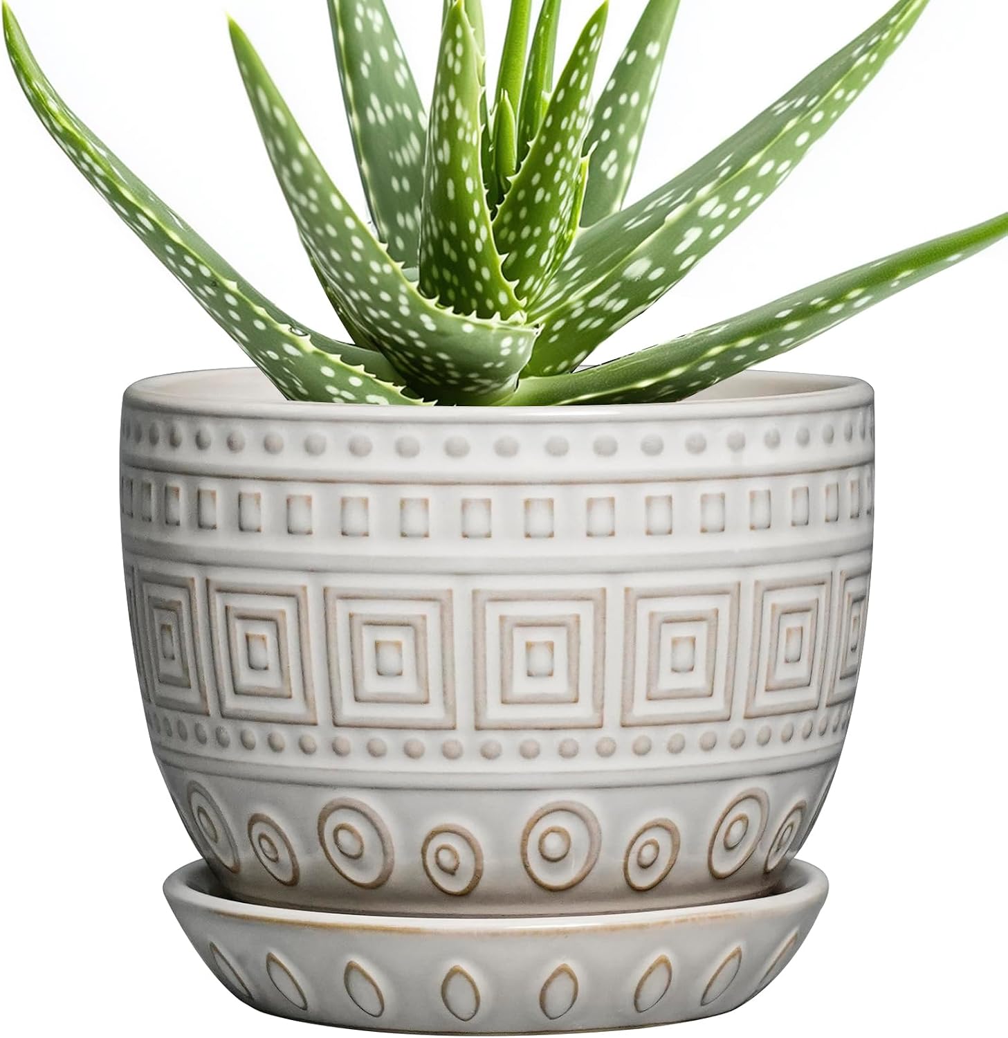 Detalle de G EPGardening Ceramic Plant Pot, 5-Inch