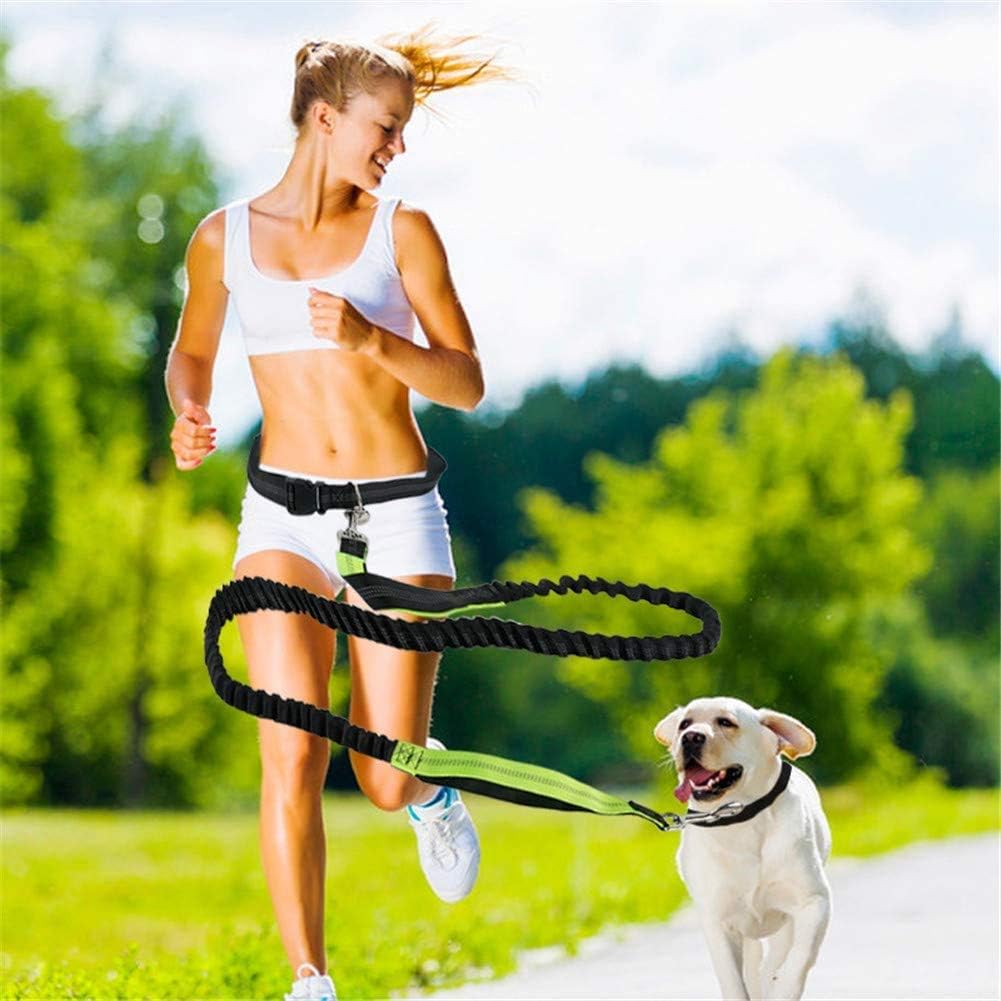 Thumbnail 4 de Pecco Dog Walking Belt 50kg leash