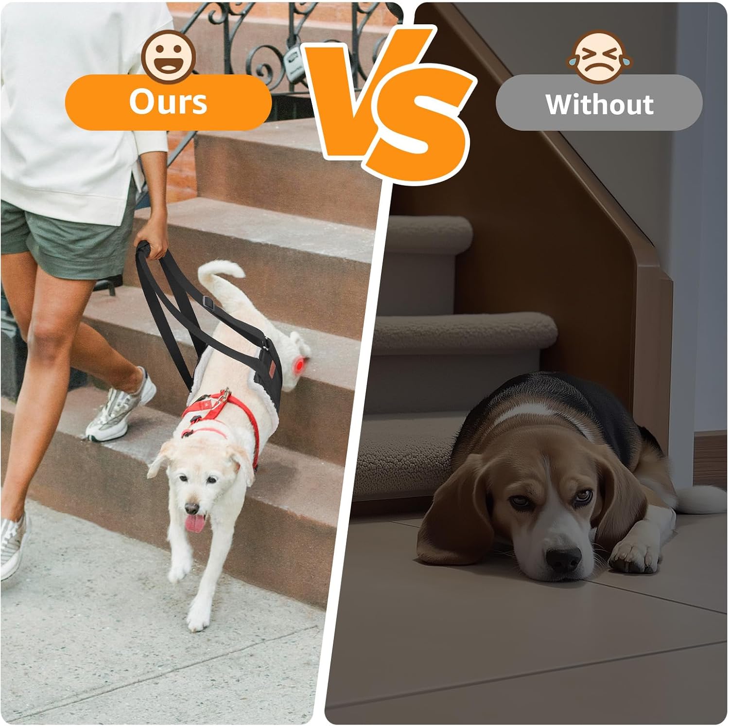 Detalle 2 de Adjustable Dog Lifting Harness for Medium Dogs