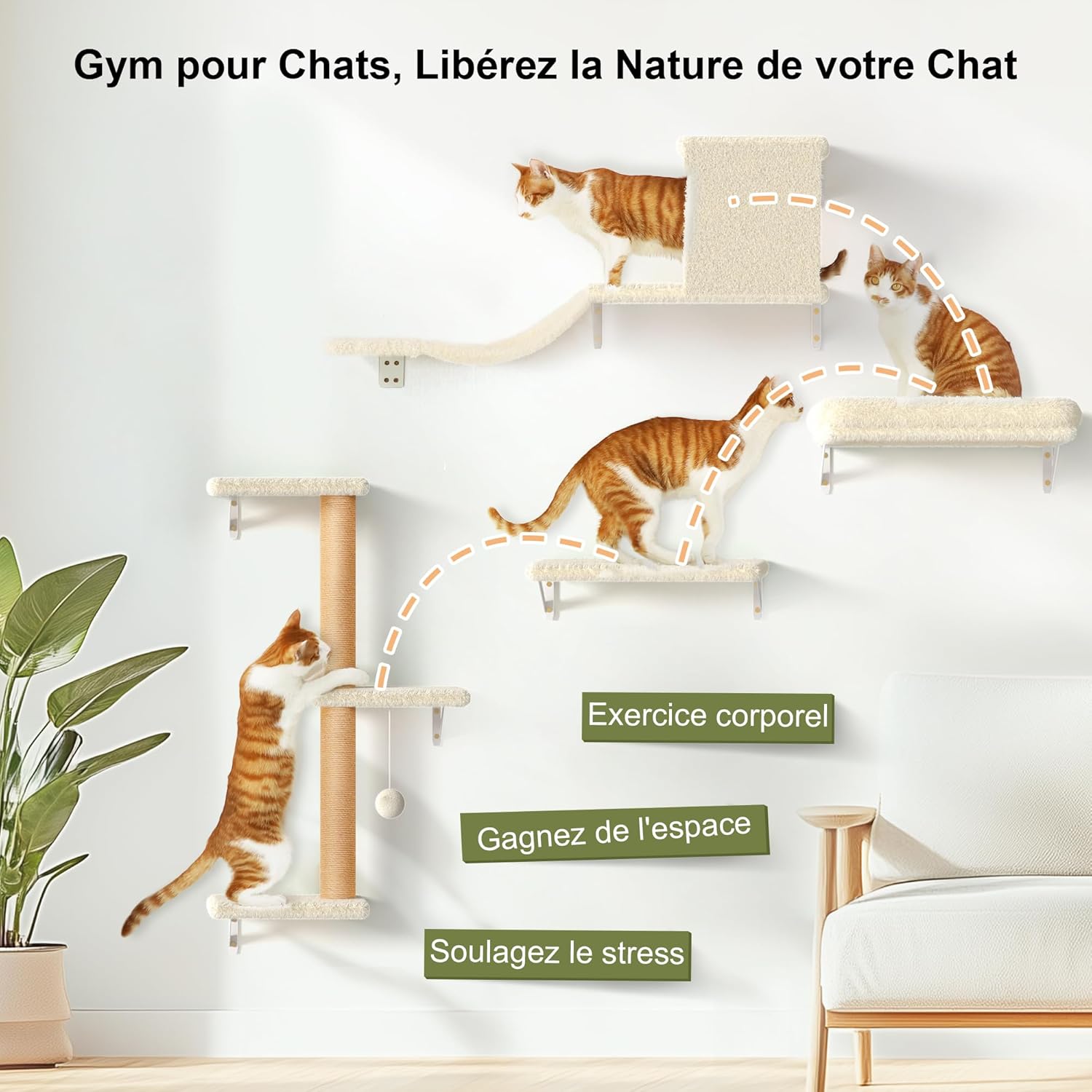 Thumbnail 2 de FUKUMARU Étagères murales pour chat 4-en-1 (pont, niche, griffoir et lit) en bois beige