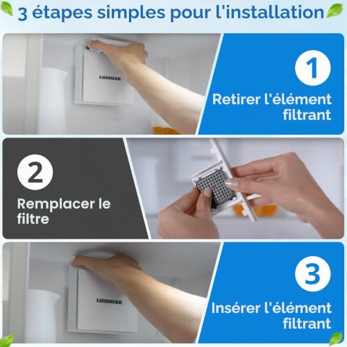 Detalle 1 de 1E filtres à charbon actif pour réfrigérateur
