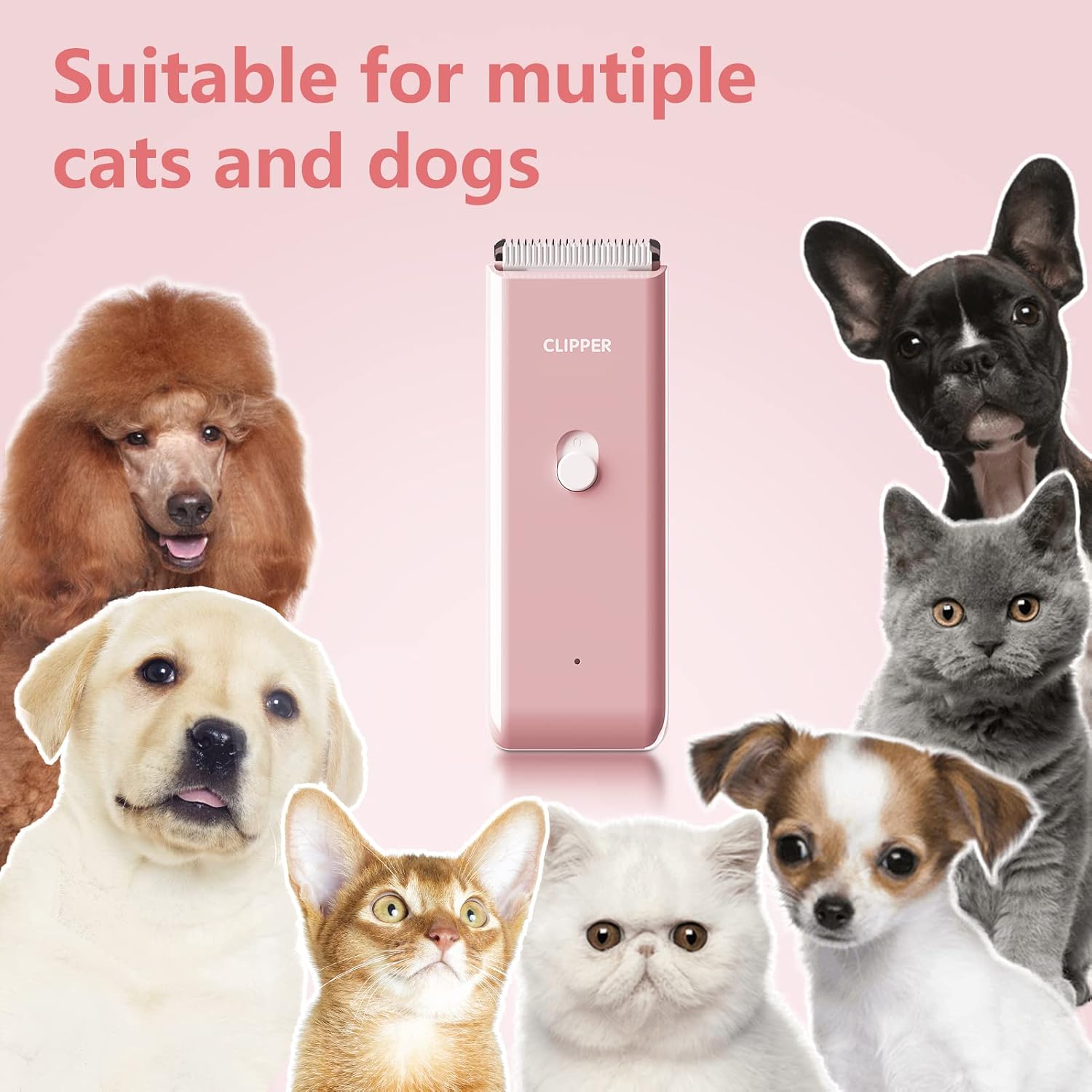 Thumbnail 5 de Professional Cat Grooming Kit
