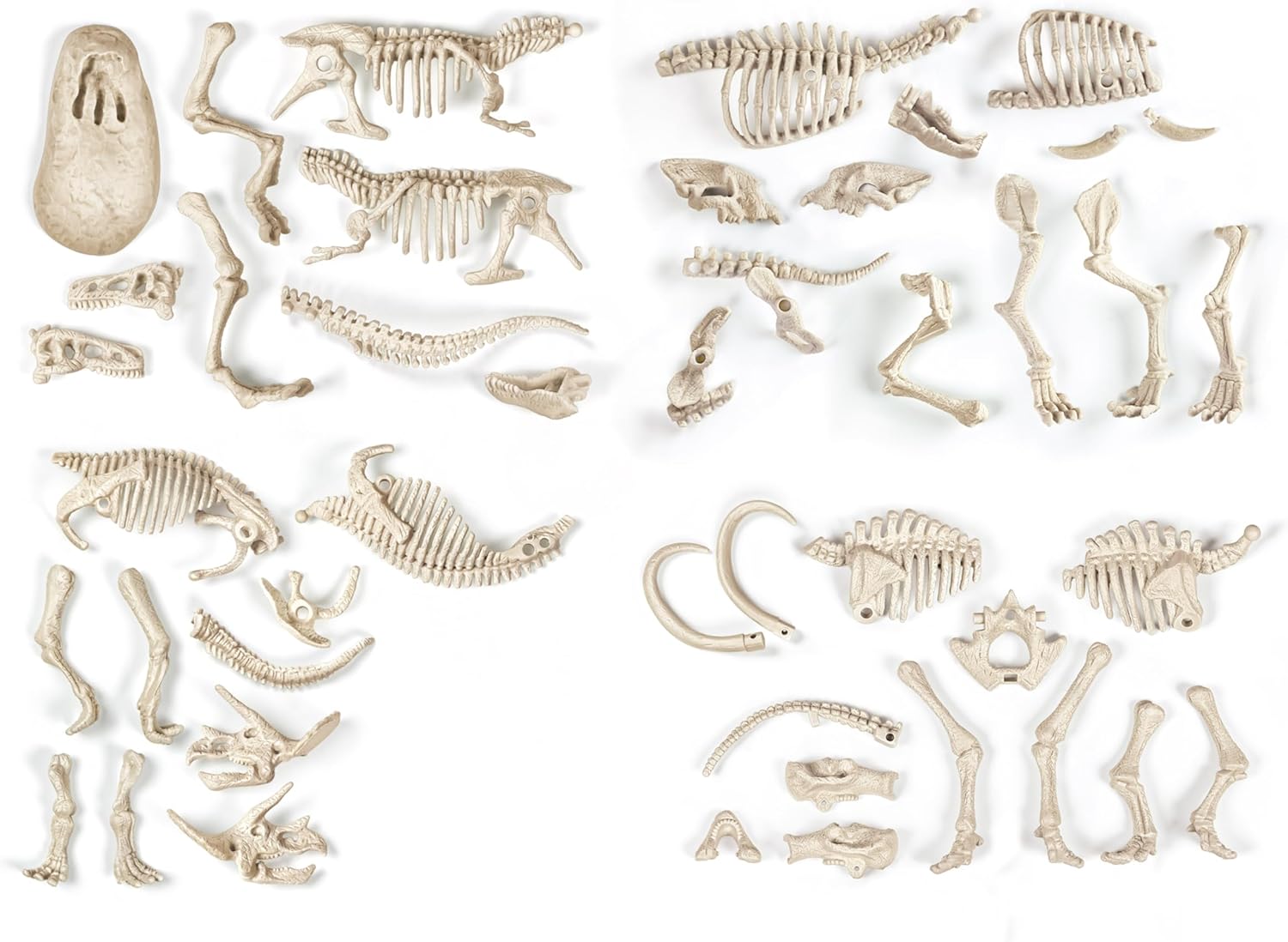 Thumbnail 3 de Coffret Archéo Ludic Clementoni – Proies et prédateurs (7 ans+) avec squelettes phosphorescents et réalité augmentée