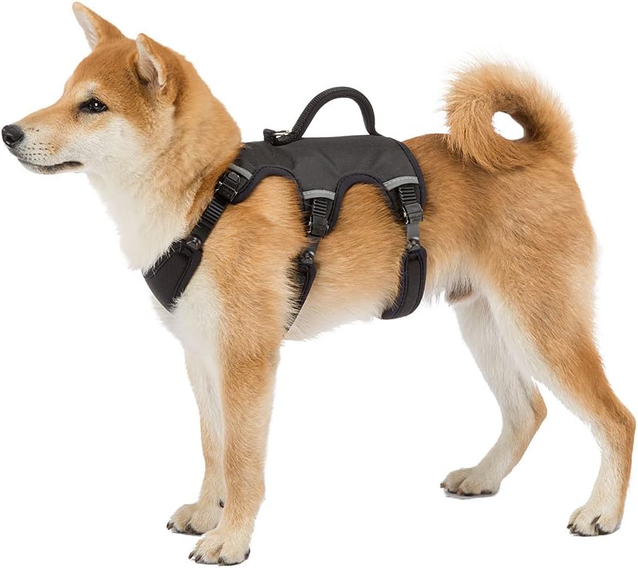 Detalle de Ferplast Harnais pour Chien Moyen ERGOTREKKING Medium – Anti-évasion, Réfléissant et Confort