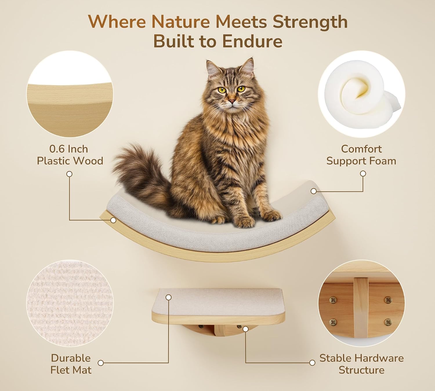 Detalle 2 de PEL UOMOZ Cat Wall Shelves Sponge Mat