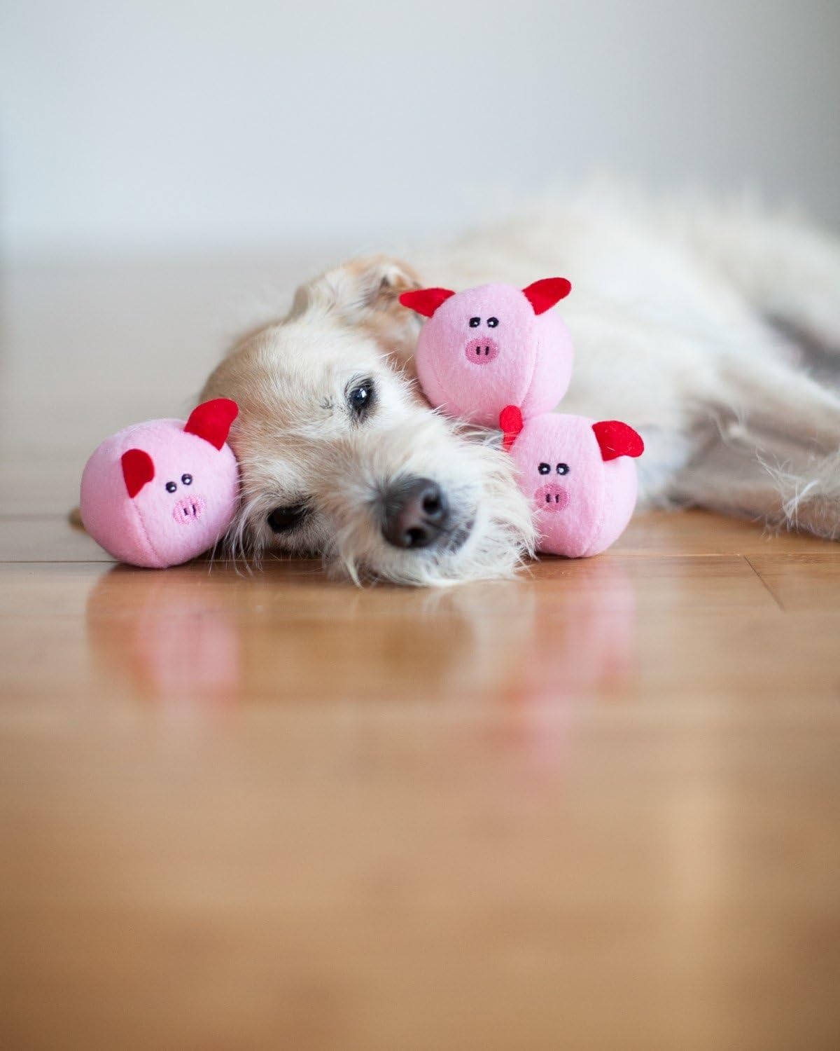 Thumbnail 4 de Zippy Paws ZP821 Burrow Pig Barn Hundespielzeug 200 g