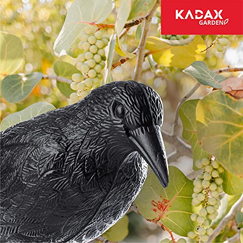 Thumbnail 6 de KADAX Set di 2 Corvi Scaccia Piccioni – Deterrenti in Plastica per Balcone e Giardino