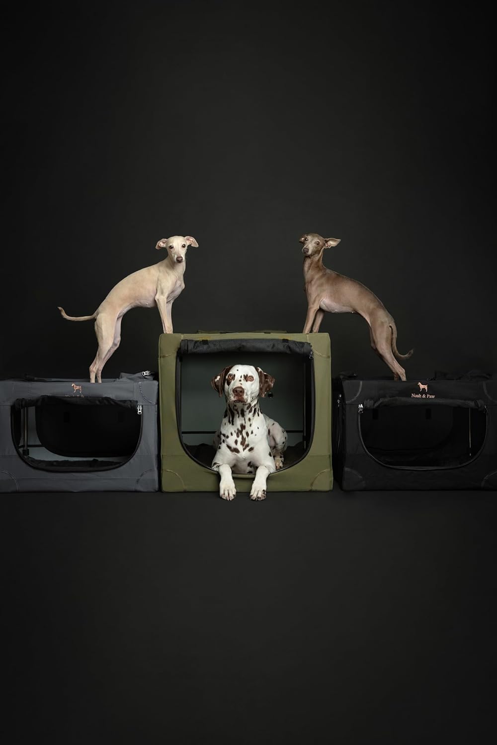 Thumbnail 3 de Noah & Paw 30-Inch Collapsible Dog Crate (Large) with 10mm Locking Zippers and Pet Mat