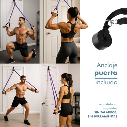 Thumbnail 6 de PORTENTUM Gomas elasticas musculacion – Set de 10 bandas de resistencia (4 niveles) para entrenamiento en casa