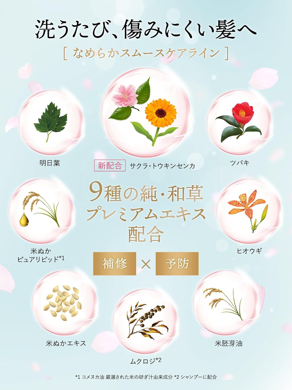 Detalle de いち髪 なめらかスムースケア シャンプー・コンディショナーセット ポンプ式 450ml・450g