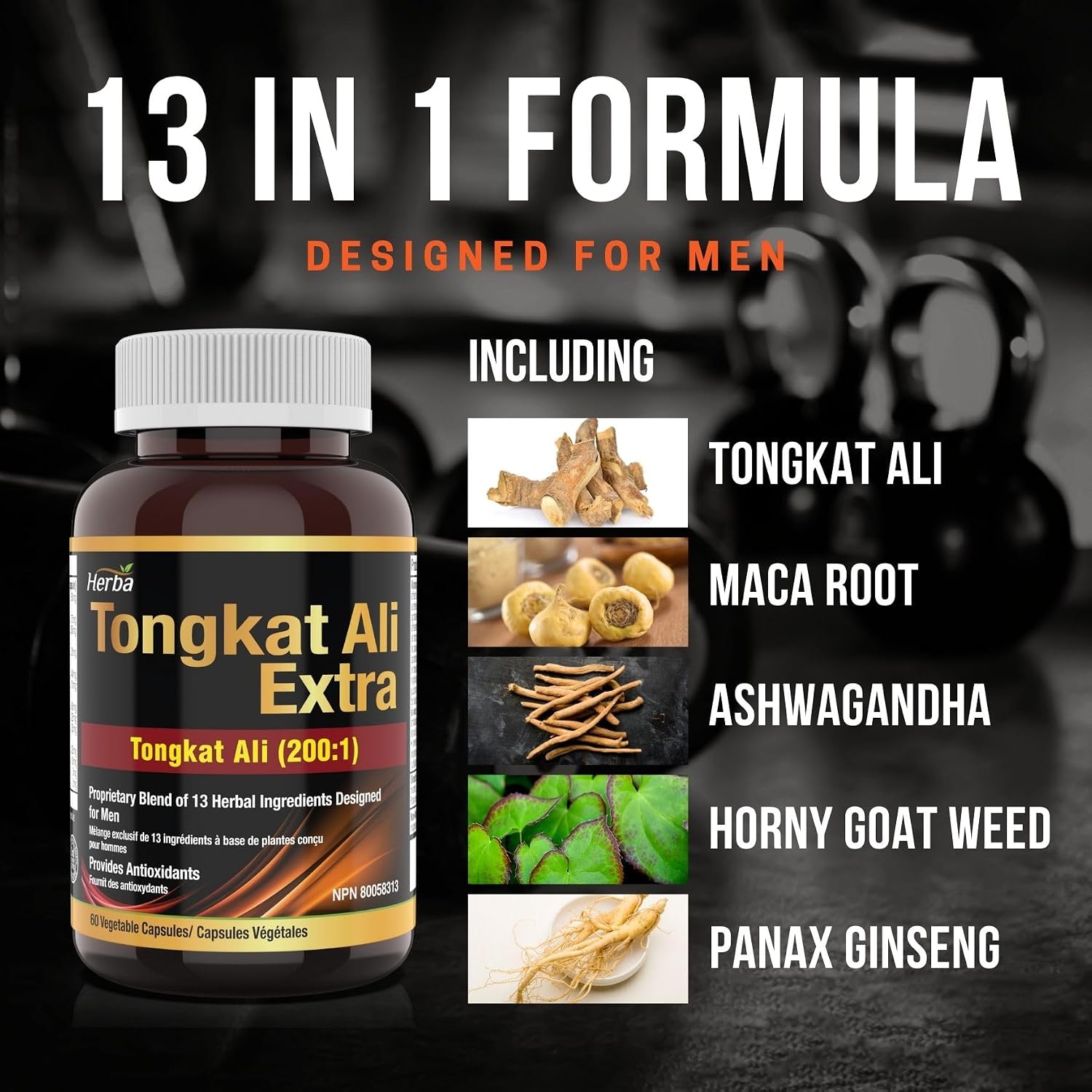 Detalle 2 de Herba tongkat ali Supplement for Men, 200:1 Extract, 60 Capsules