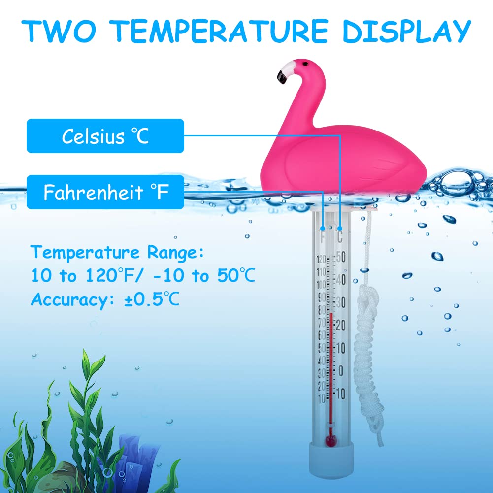 Detalle 1 de OFFCUP Termómetro Piscina 10–50°C