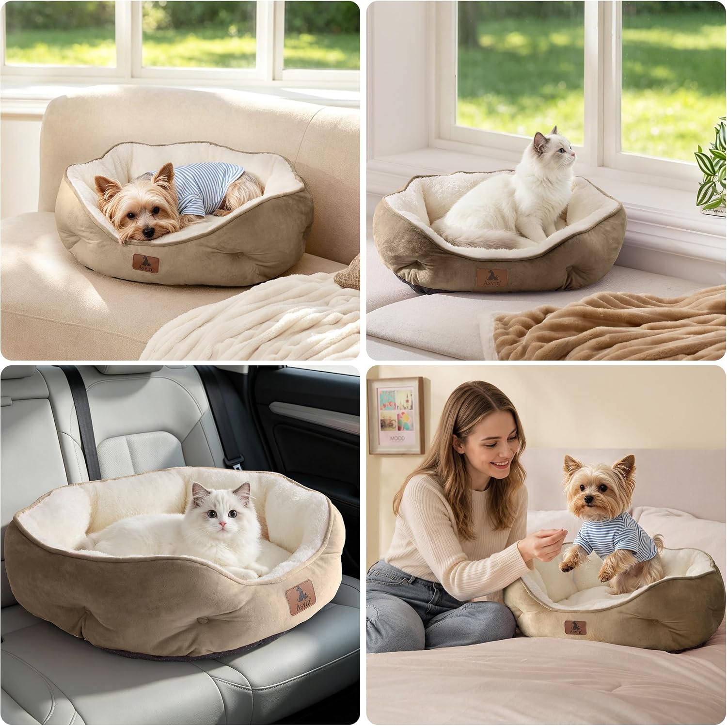 Thumbnail 6 de Asvin Small Dog Bed, 20-Inch