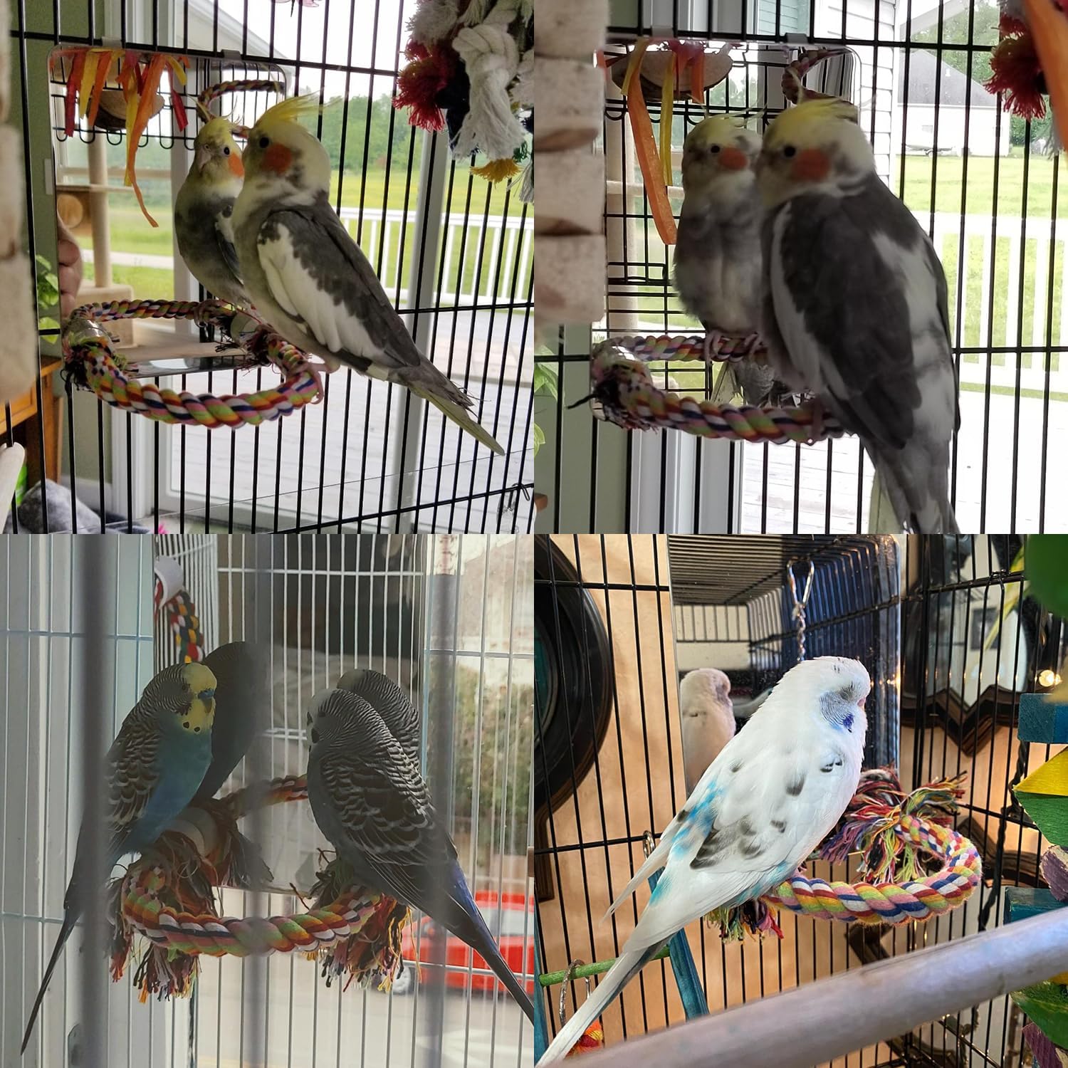 Thumbnail 6 de Colorday 18 cm Edelstahl Vogel Spiegel mit Seil Perch – Vielfältiges Vogelspielzeug aus rostfreiem Stahl