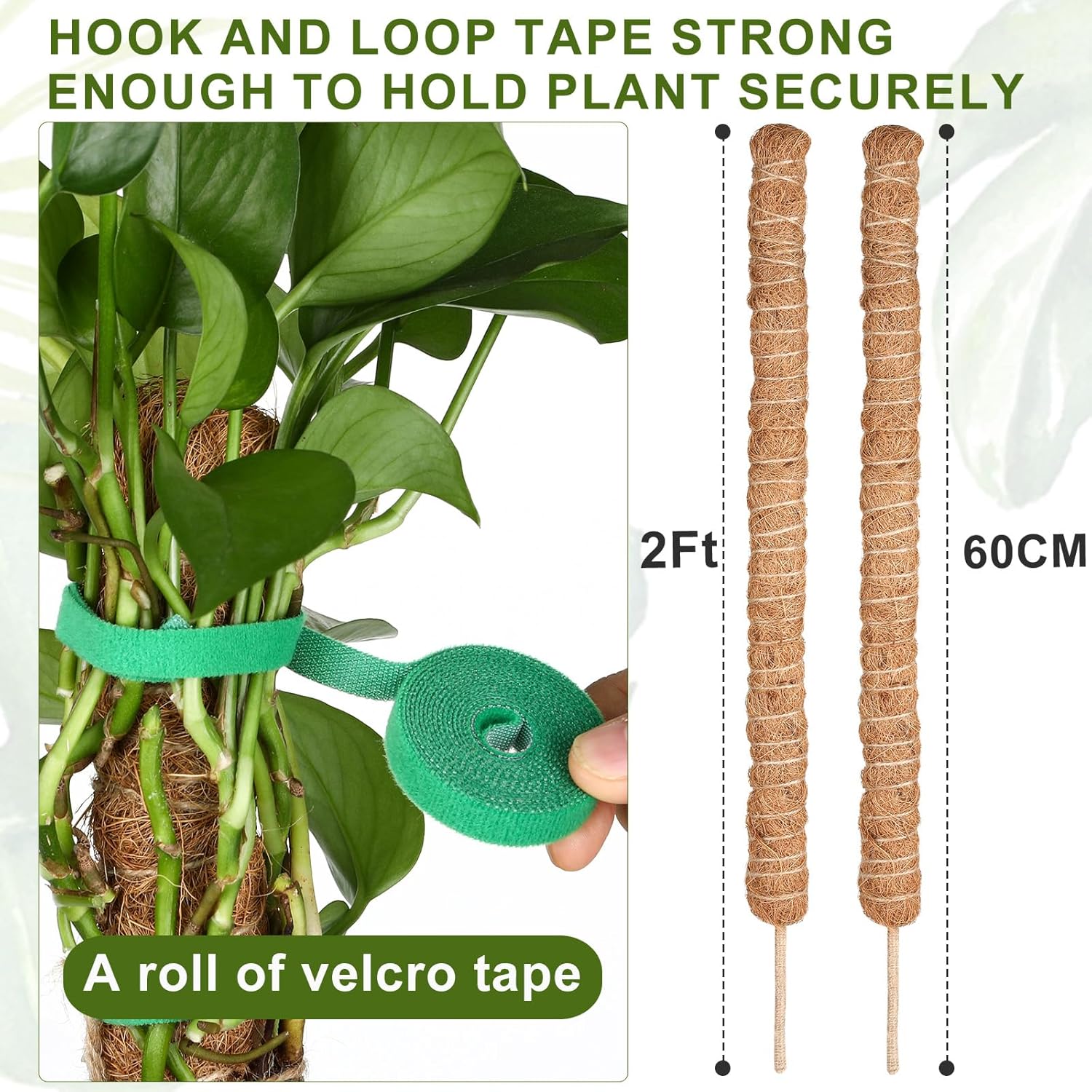 Thumbnail 1 de Joaercs Moss Pole 60 cm plant support for climbers