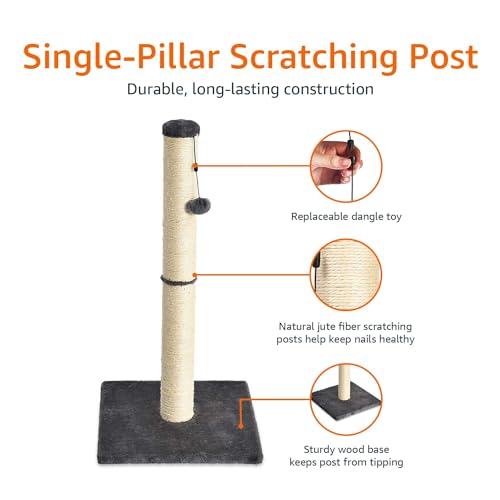 Detalle 2 de Amazon Basics Arbre à chat d'intérieur standard avec jouet suspendu — gris, 80 cm