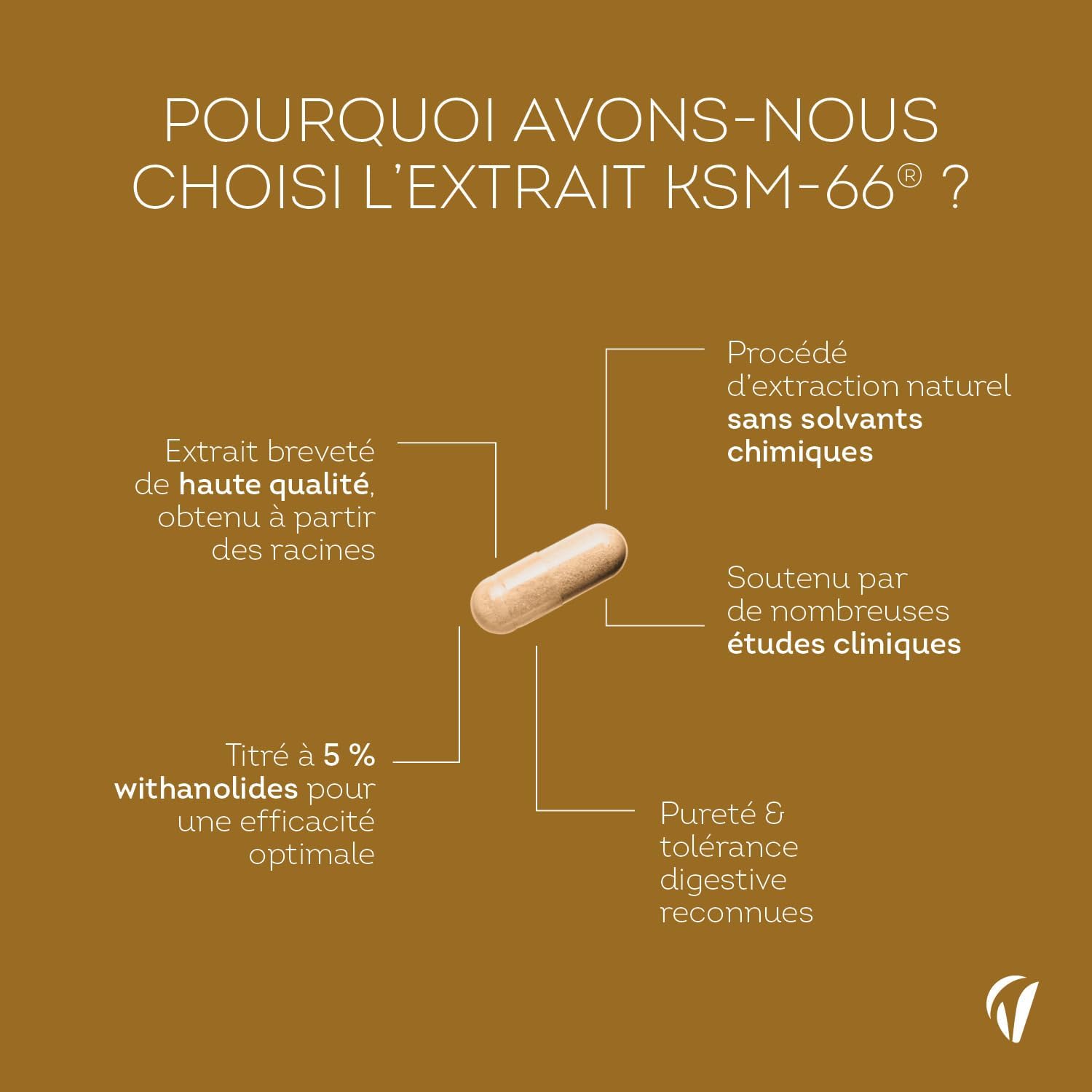 Thumbnail 3 de Vitavea Ashwagandha BIO KSM-66® breveté 90 gélules vegan (5% withanolides, 600 mg)