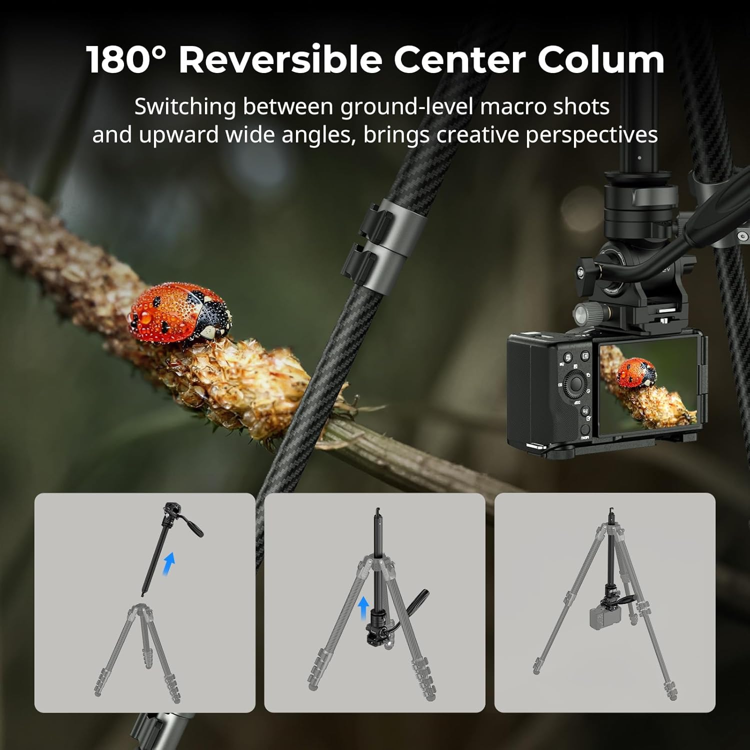 Thumbnail 3 de SmallRig AP255Pro 63" Portable Carbon Travel Tripod with Fluid Video Head (for iPhone & camera)