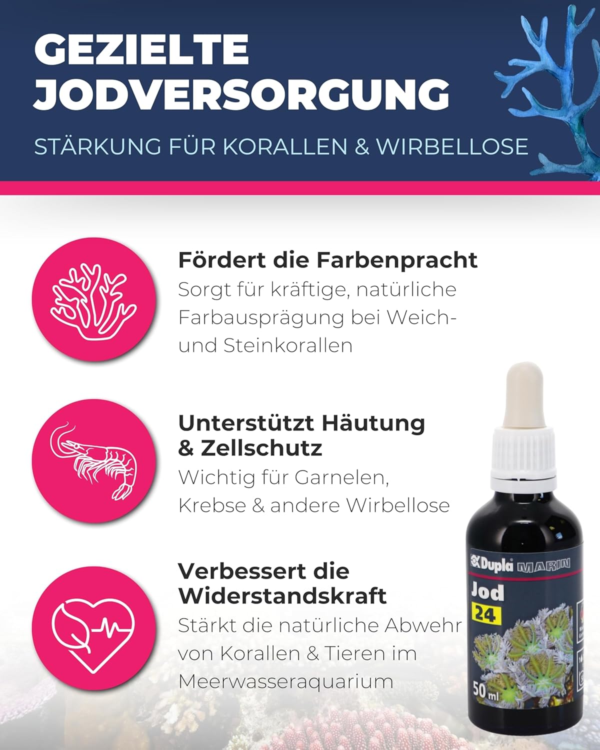 Thumbnail 1 de Dupla Marin Jod 24, 50 ml – essentielles Spurenelement für Meerwasseraquarien