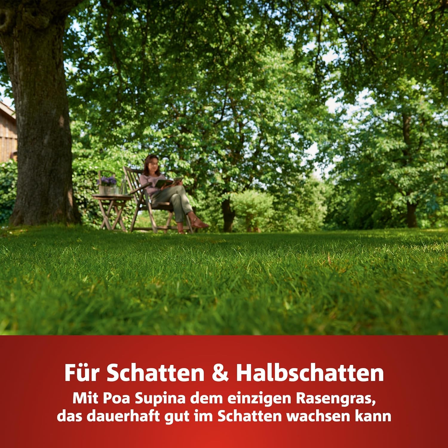 Thumbnail 1 de WOLF-Garten Turbo-Nachsaat SCHATTEN – Rasensanierung für schattige Lagen (LR-S 50, 1 kg Karton)
