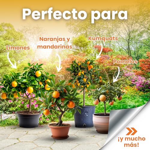 Detalle de LERAVA Abono cítricos (800 g): fertilizante orgánico para limoneros, naranjos y más, con vaso dosificador