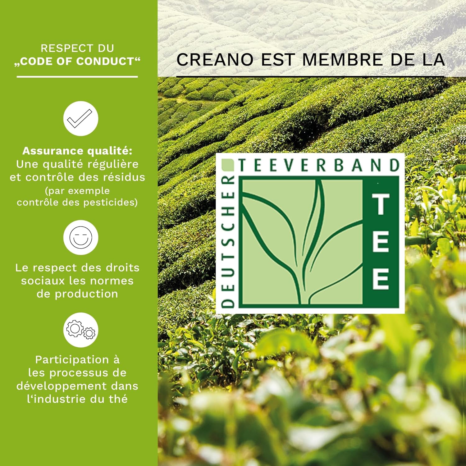 Detalle 2 de Creano Coffret Fleurs de Thé 0,5 l 🍵