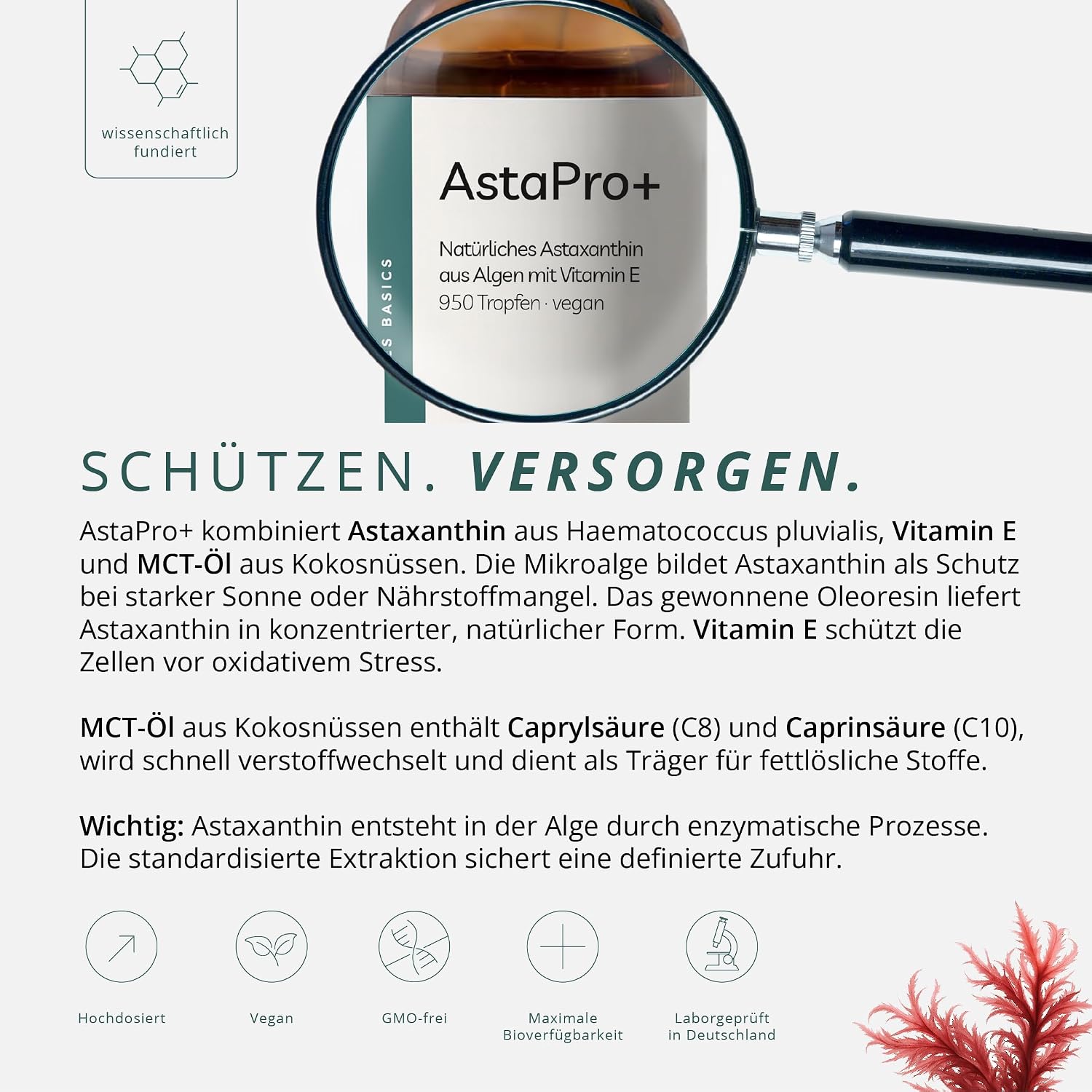 Thumbnail 2 de Astaxanthin Öl neotes AstaPro+ 8 mg
