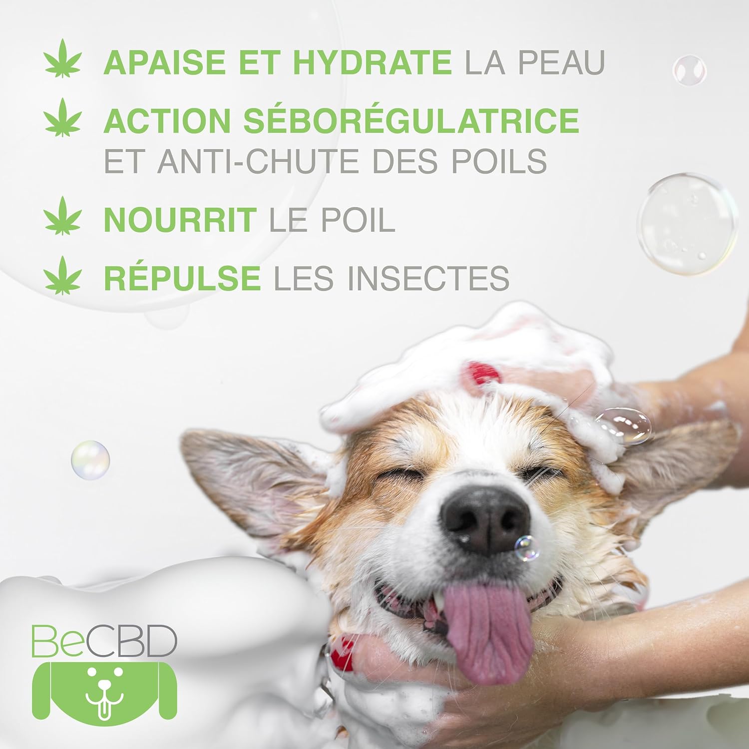 Detalle de BeCBD Shampoing Chien 250 ml