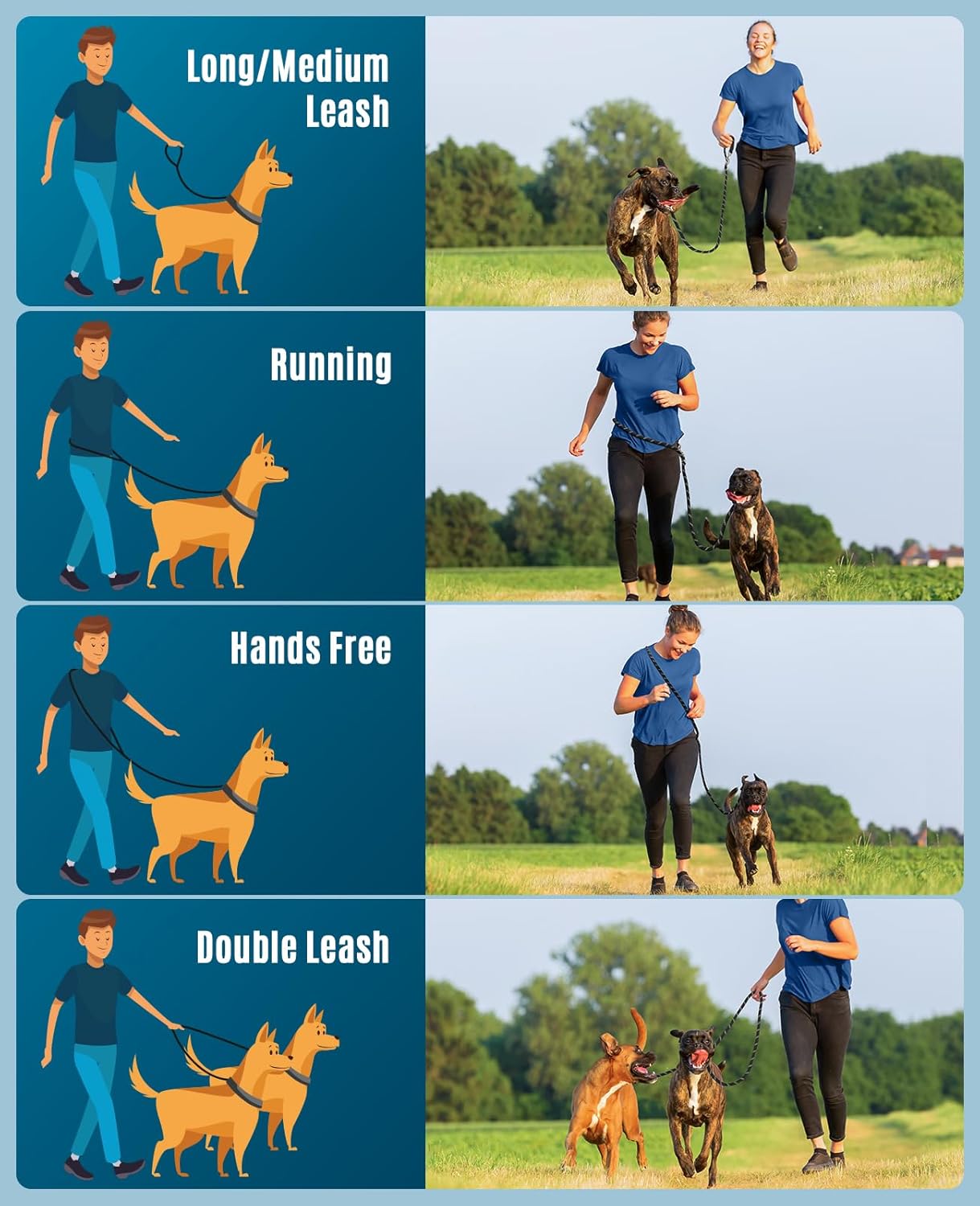 Thumbnail 5 de oneisall Laisse de Chien Grand & Moyen (15–60 kg) 3 m avec réfléchissant, charge annoncée jusqu’à 200 kg