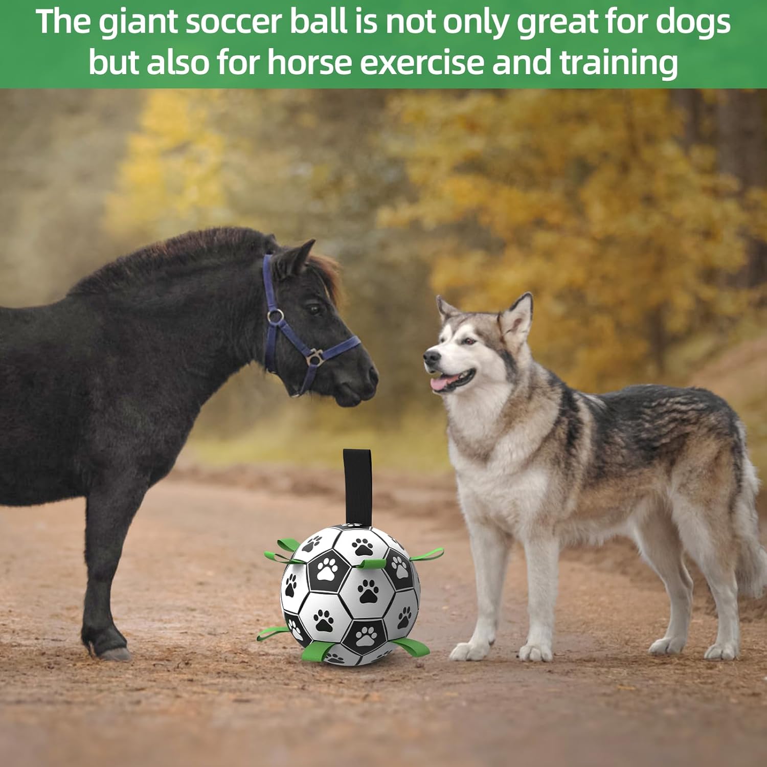 Thumbnail 4 de HETOO dog football 9 inch for tug
