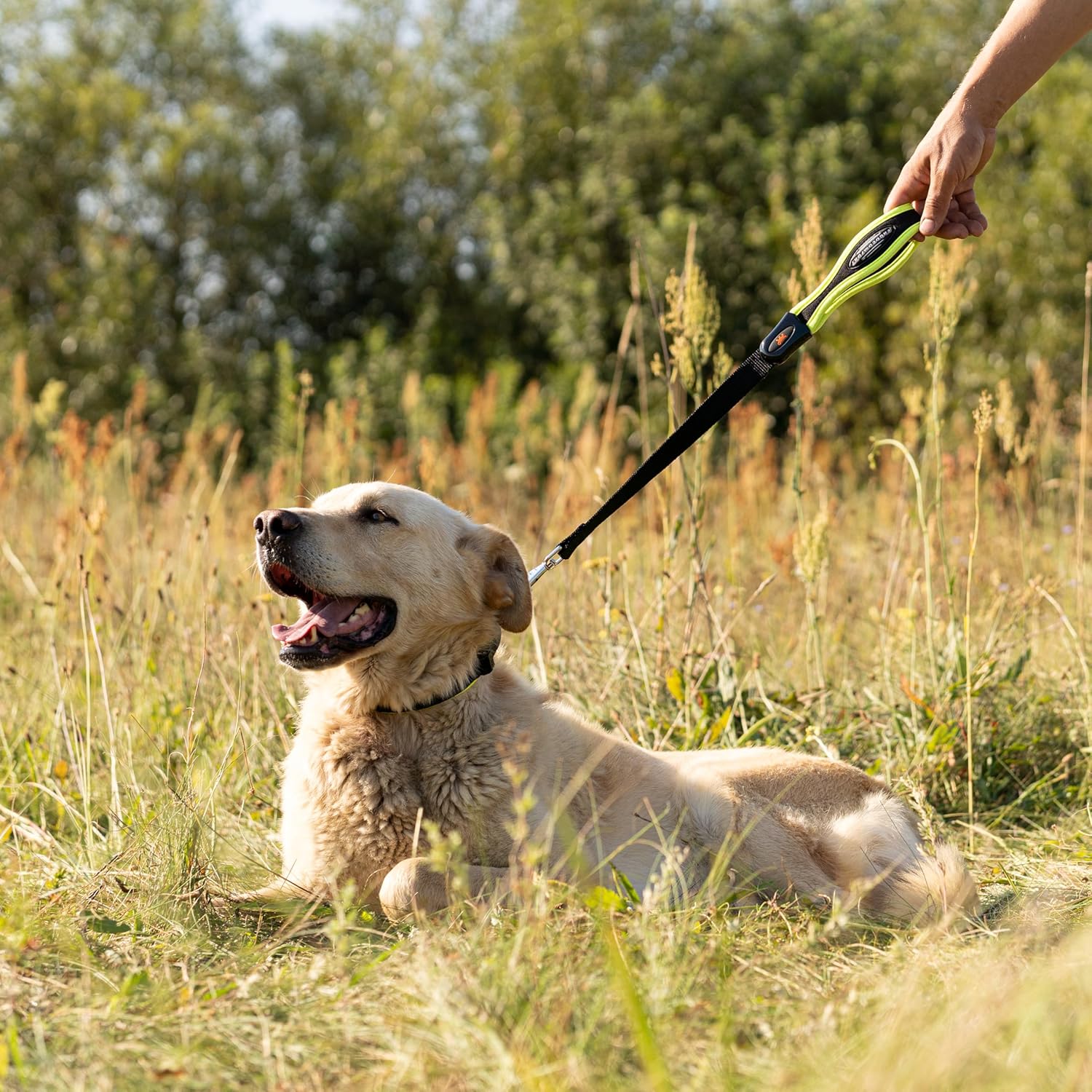 Detalle de Ferplast Laisse Courte ERGOFLUO – Laisse pour Chien de Grande Taille, poignée Ergonomique rembourrée, nylon, 55 cm x 2,5 cm, Jaune