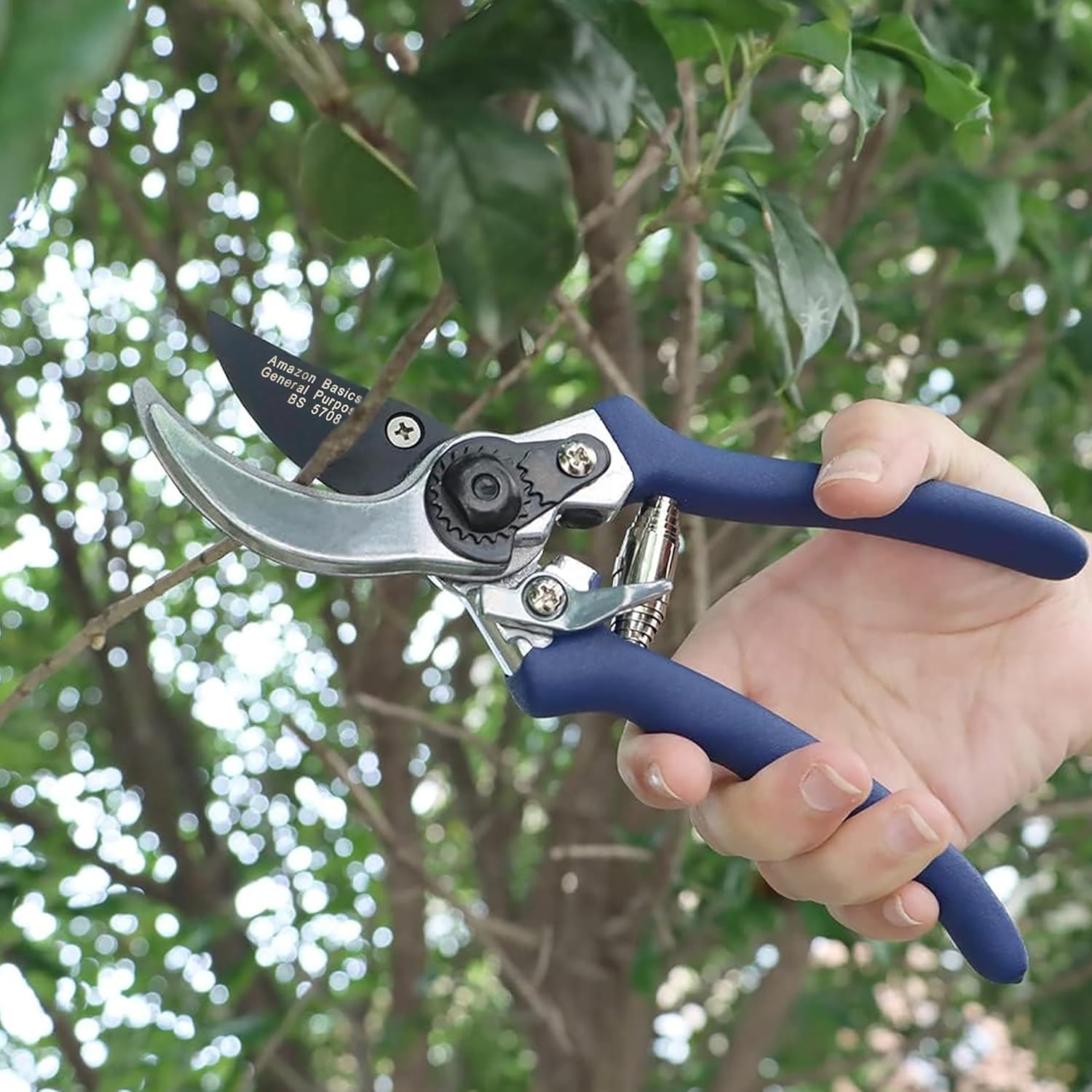 Thumbnail 6 de Amazon Basics Secateurs/ Pruning Scissors, Garden Tools Blue