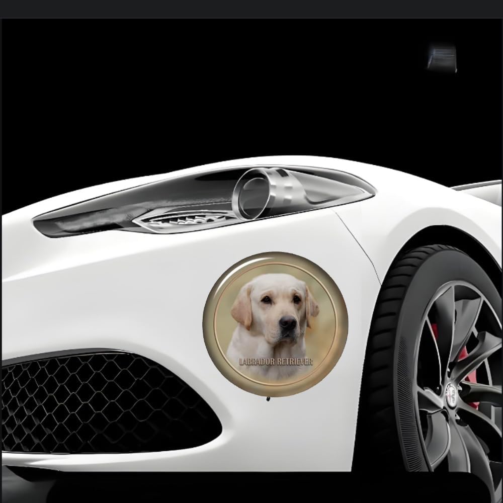 Thumbnail 5 de Labrador Retriever Autoaufkleber Reflektierend 15–25 cm