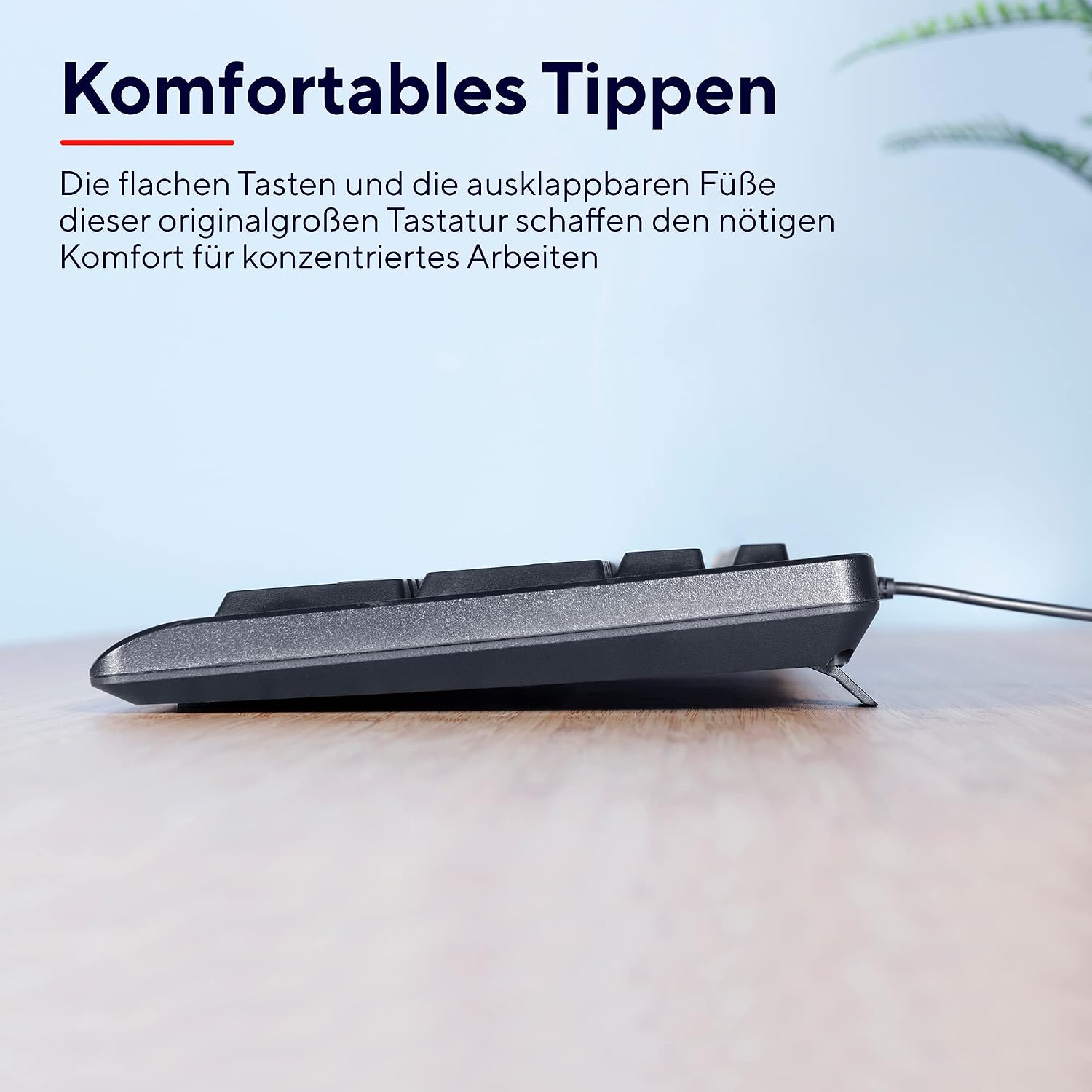 Detalle de Trust Taro Tastatur‑ und Maus‑Set 180 cm USB
