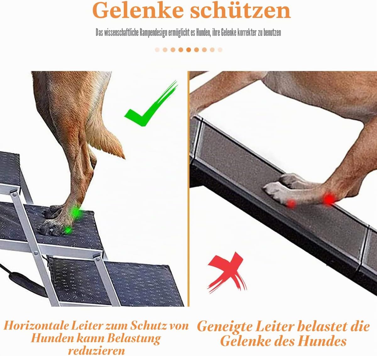 Detalle 2 de Bounabay Hundetreppe 4 Stufen, für Hunde bis 75 kg