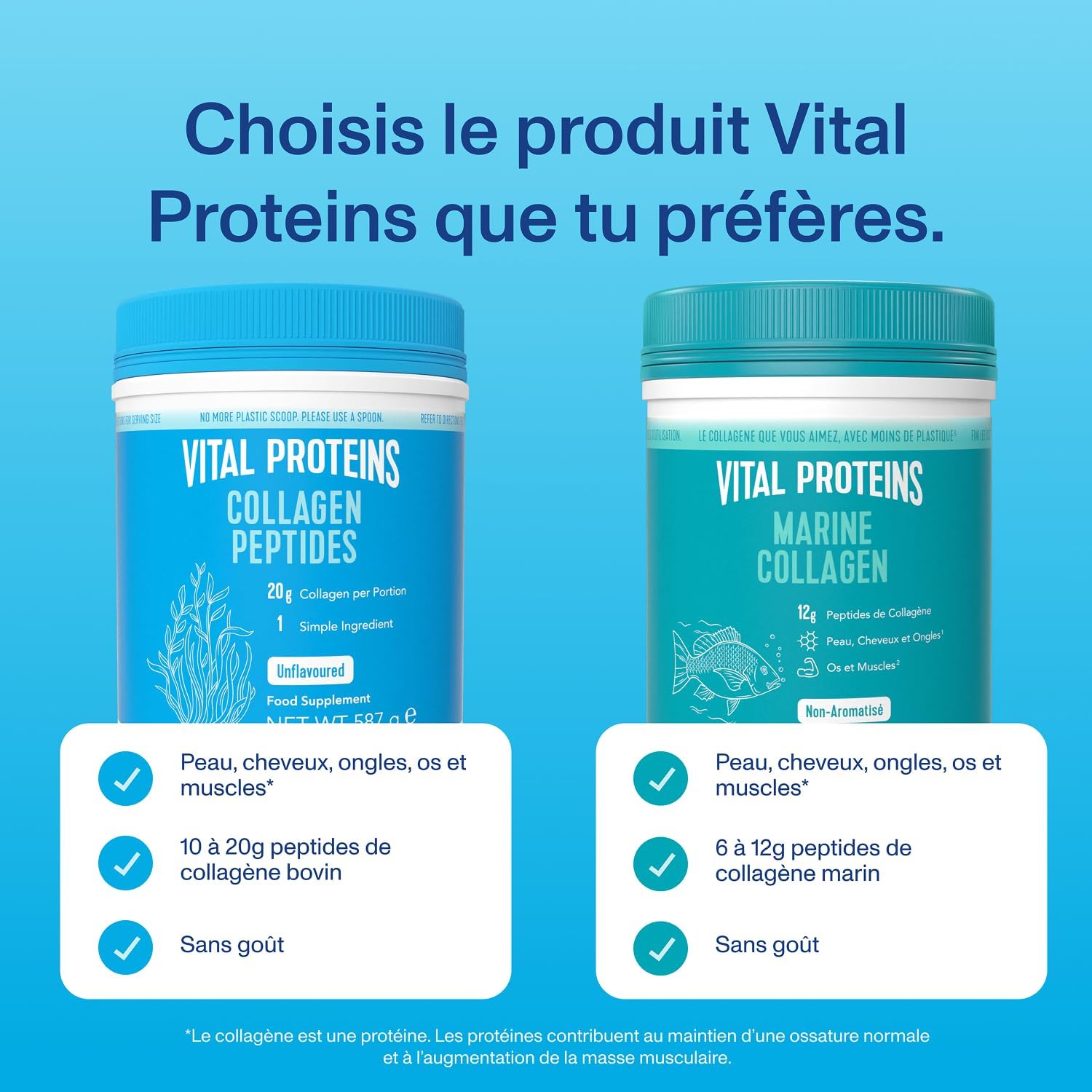 Thumbnail 6 de Vital Proteins Collagen Peptides Type I & III – collagène hydrolysé non aromatisé, sans gluten
