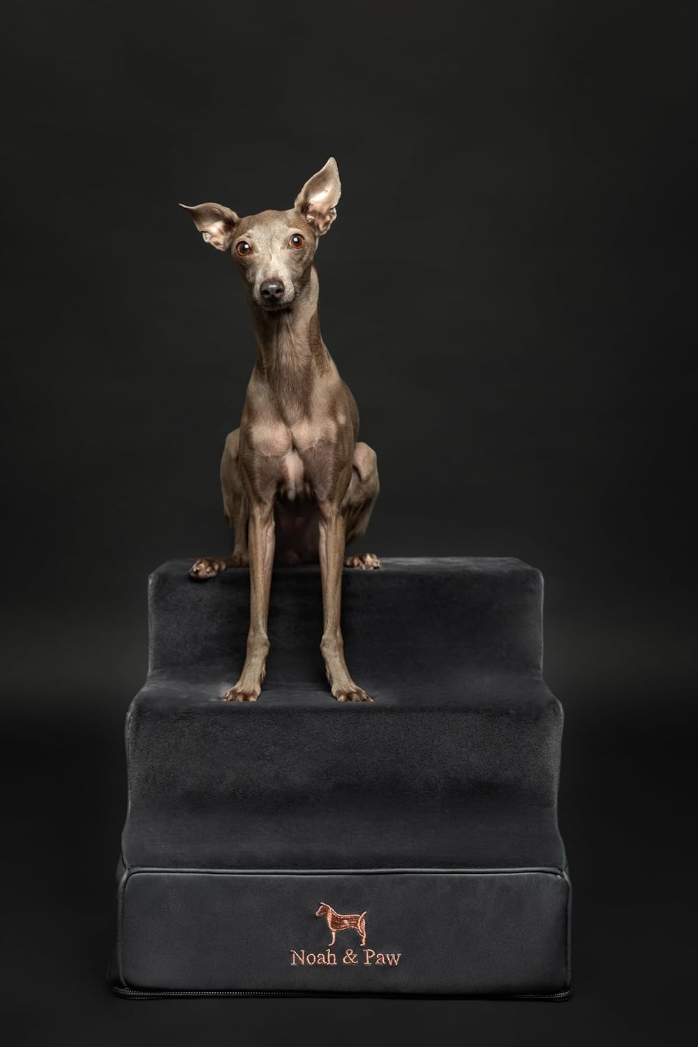 Thumbnail 5 de Noah & Paw Dog Stairs (16" Extra Wide) Leather Collection – Durable 3-Step Ramp for High Beds