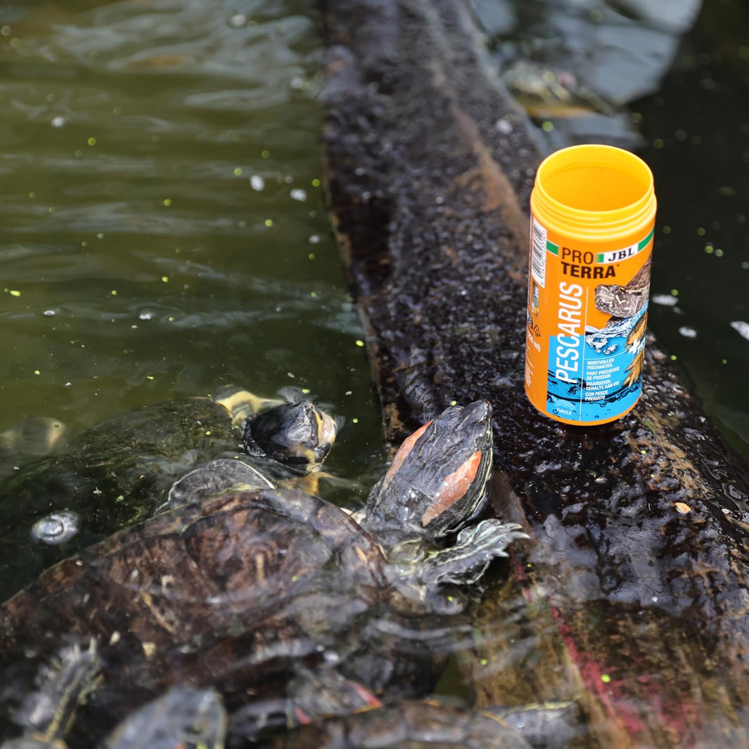 Detalle de JBL Proterra PESCARUS 250ml – getrocknete Fische & Garnelen als energiereiche Ergänzung