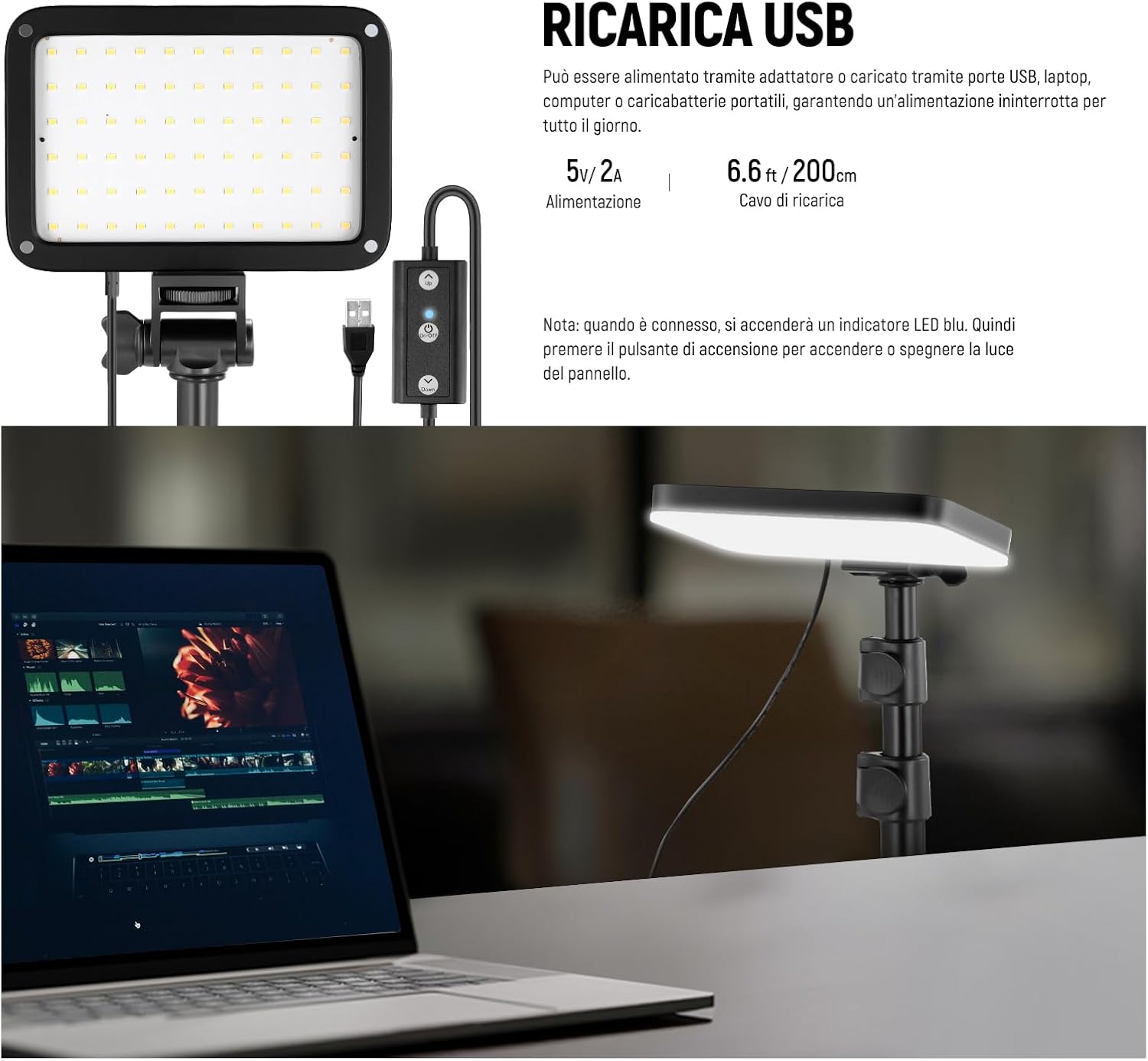 Thumbnail 3 de NEEWER BASICS Kit Key Light a Pannello LED bicolore con stativi e filtri (2 luci) 3200K-5600K