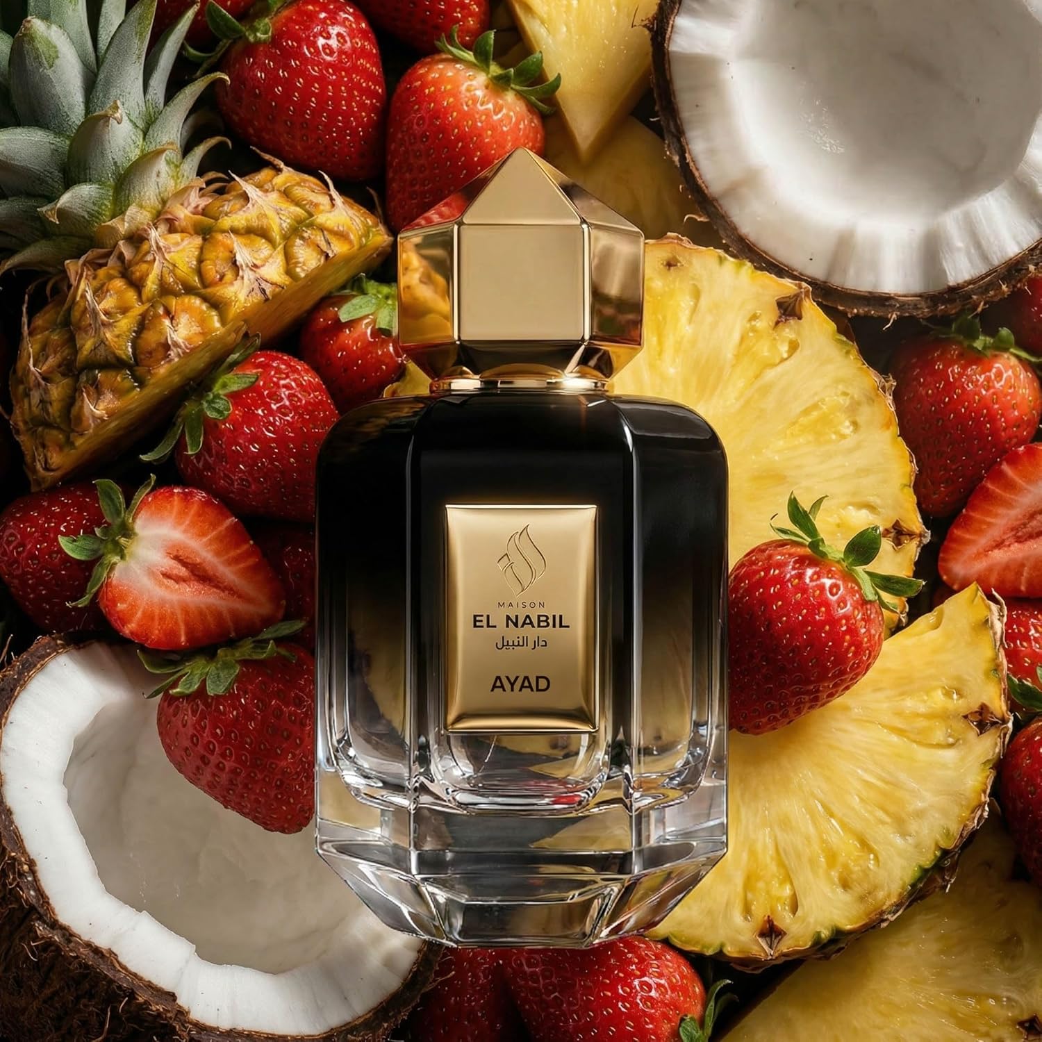 Detalle de AYAD – Eau de Parfum Dubai Mixte par Maison El Nabil, 65 ml – Tropical, Musqué et Gourmand