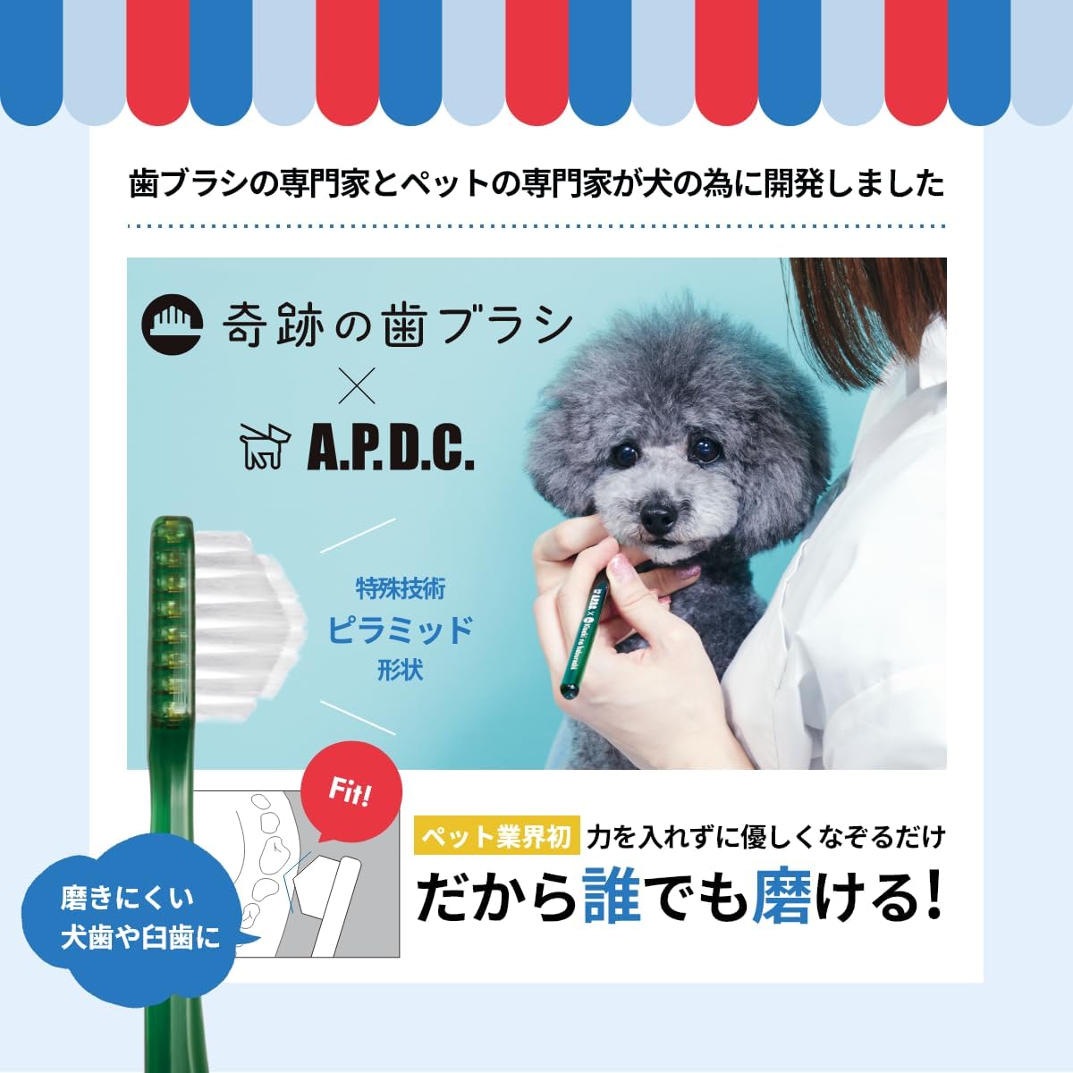 Thumbnail 1 de A.P.D.C. 犬用 奇跡の歯ブラシ 中・大型犬用 ふつう 2本セット 薄型ヘッド・ピラミッドカット