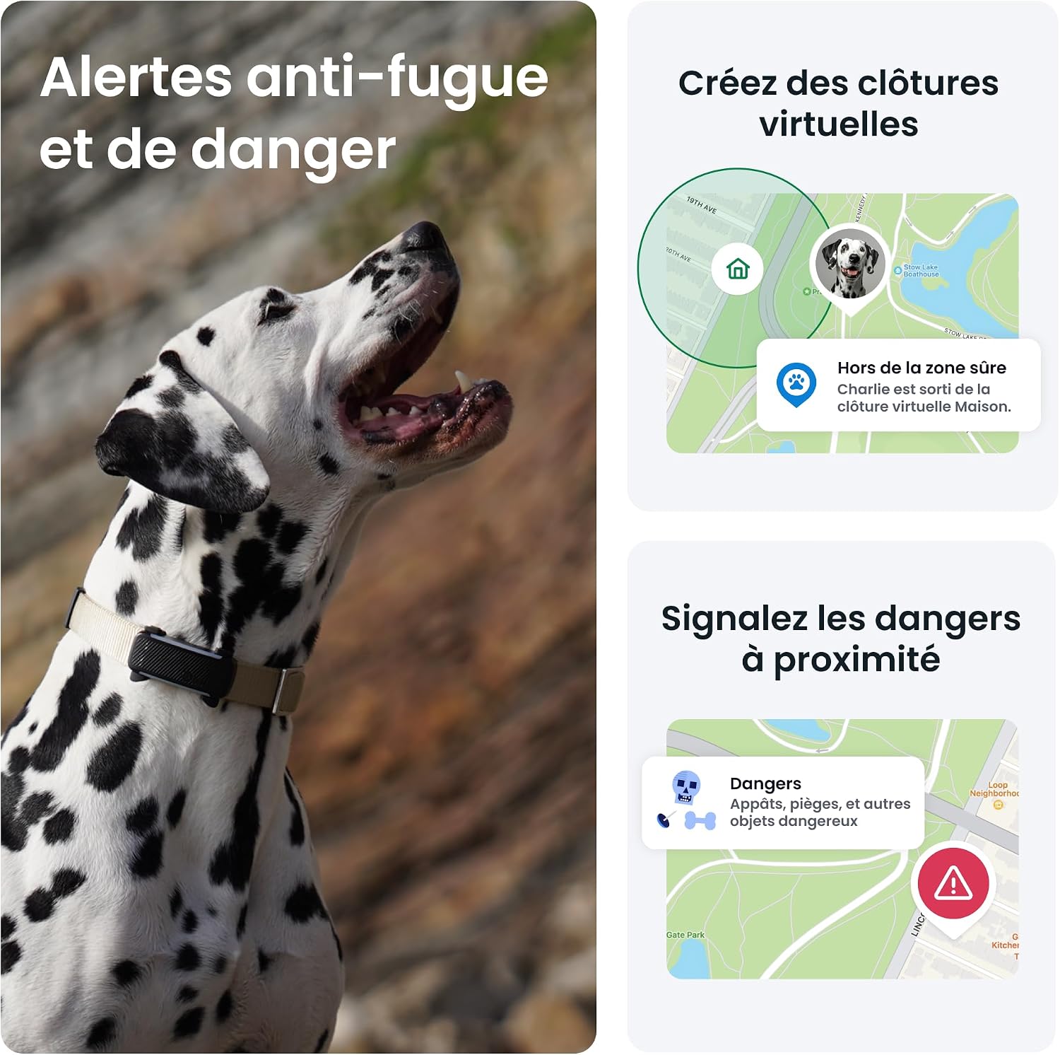 Detalle 2 de Tractive Collier GPS Chien Connecté 14 jours