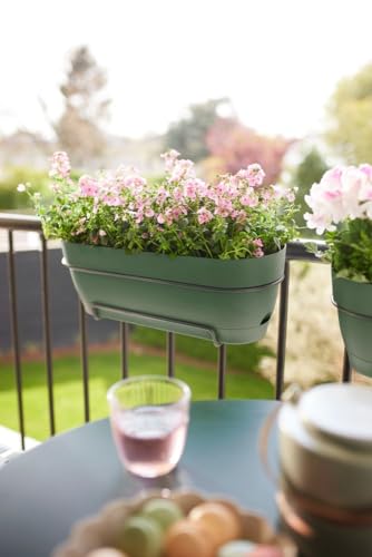 Thumbnail 8 de Elho Vibia Campana Trough 50 jardinera balcón Ø 49 cm verde pistache