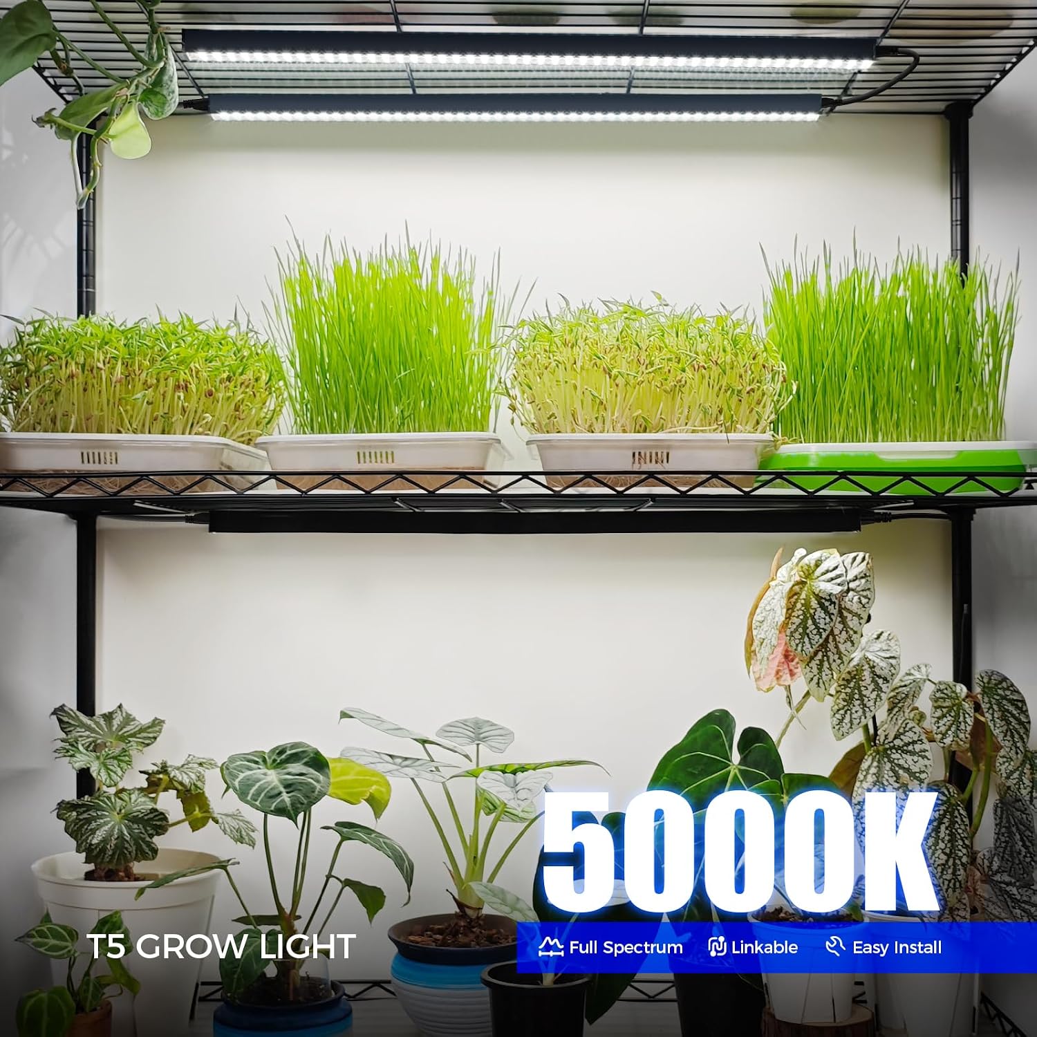 Detalle de Barrina T5 2ft Grow Lights for Indoor Plants – 40W Full Spectrum 5000K LED Strips (4 Pack)