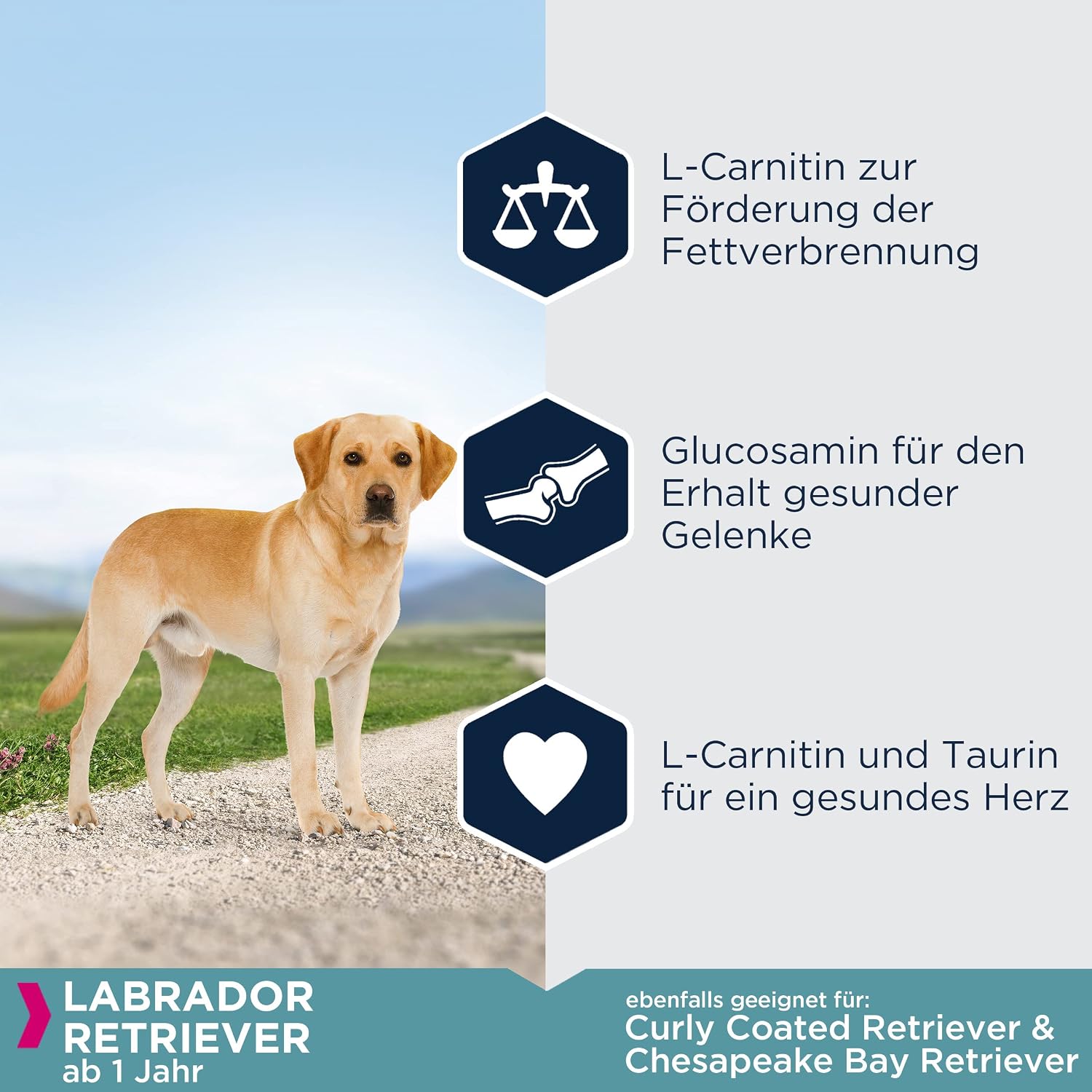 Thumbnail 3 de Eukanuba Breed Specific Labrador Retriever Trockenfutter mit Huhn, 12 kg