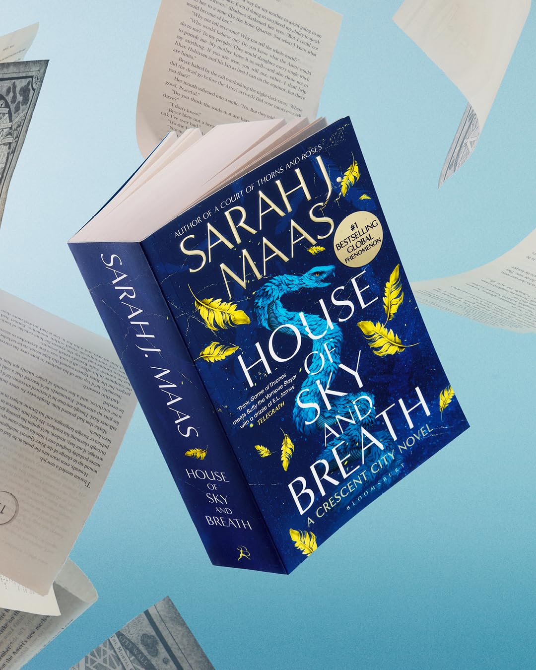 Thumbnail 1 de House of Sky and Breath paperback — fantasy novel 📚